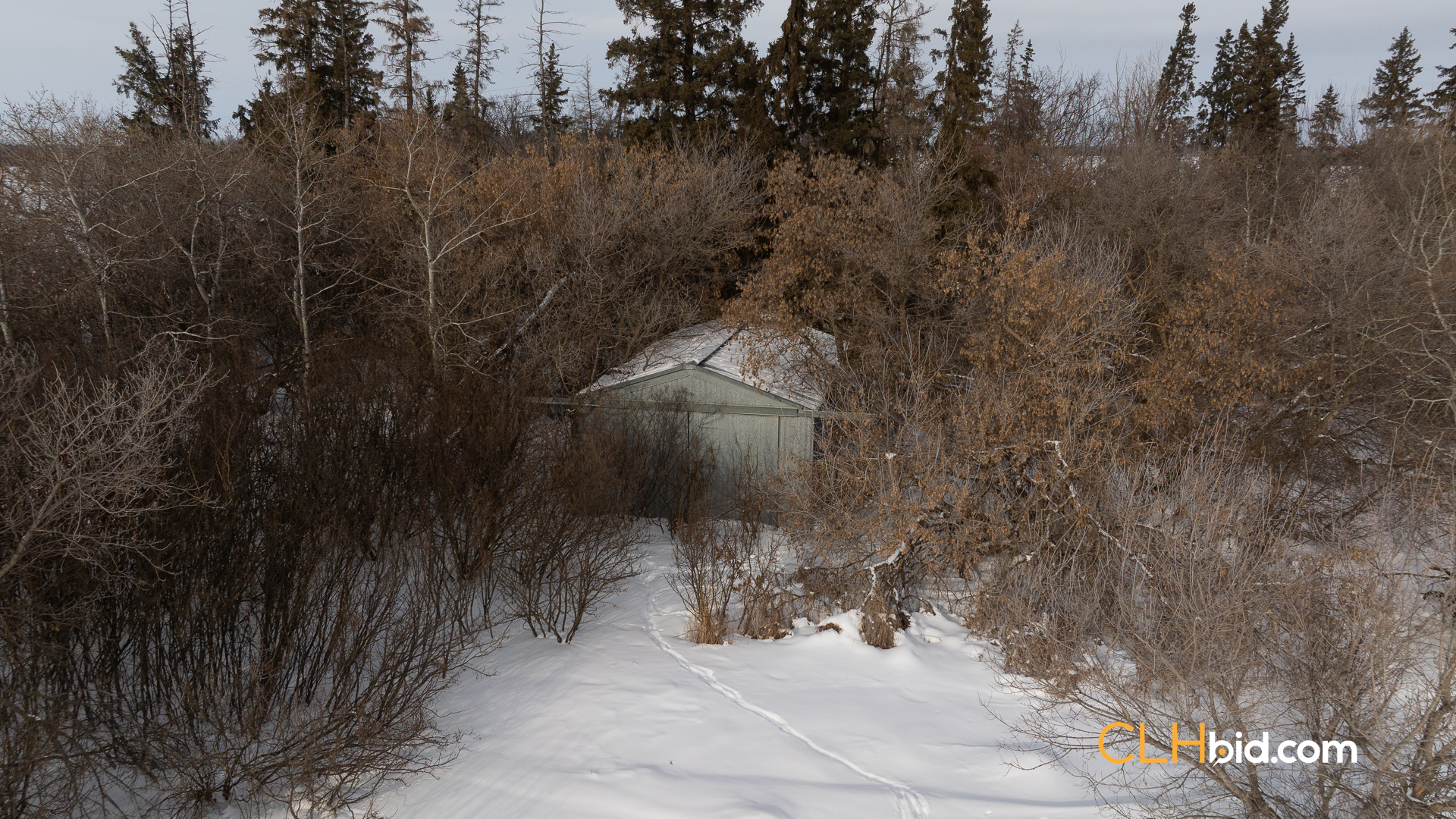 Web-LamontTopGrade-32