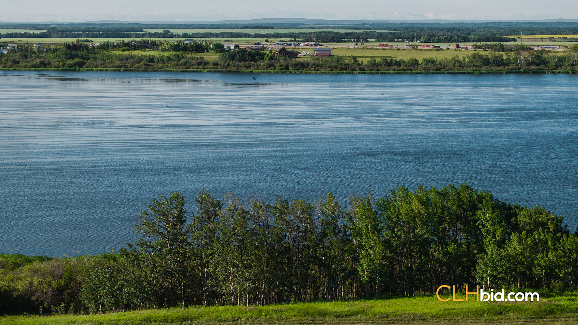 Web Rare Opportunity Dimsdale-11