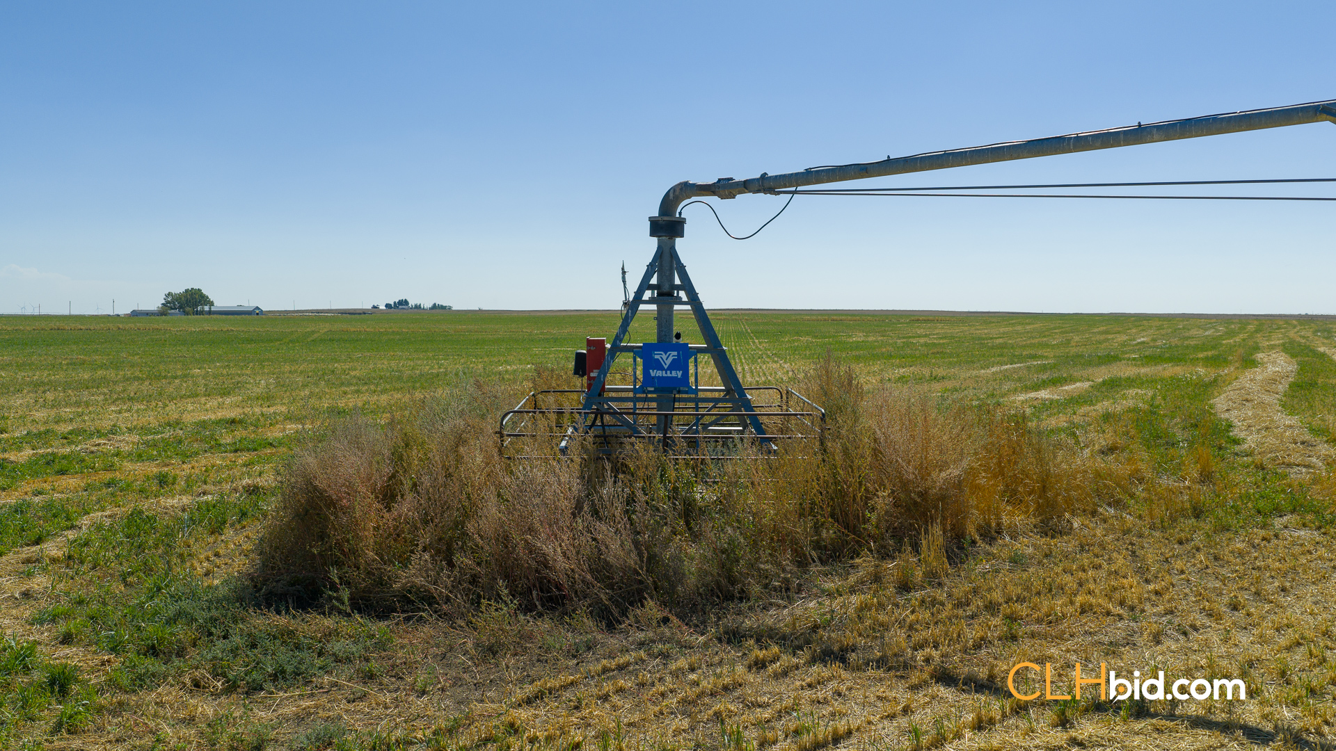 Web-MegaFortyMile-41