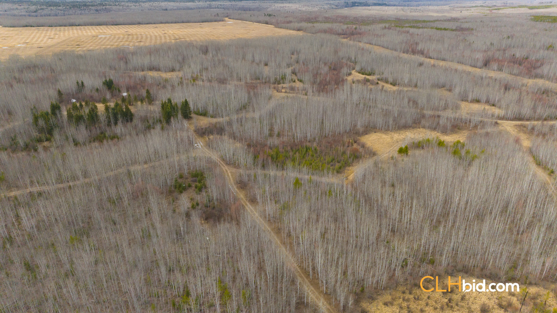 Web-RanchersChoice-5