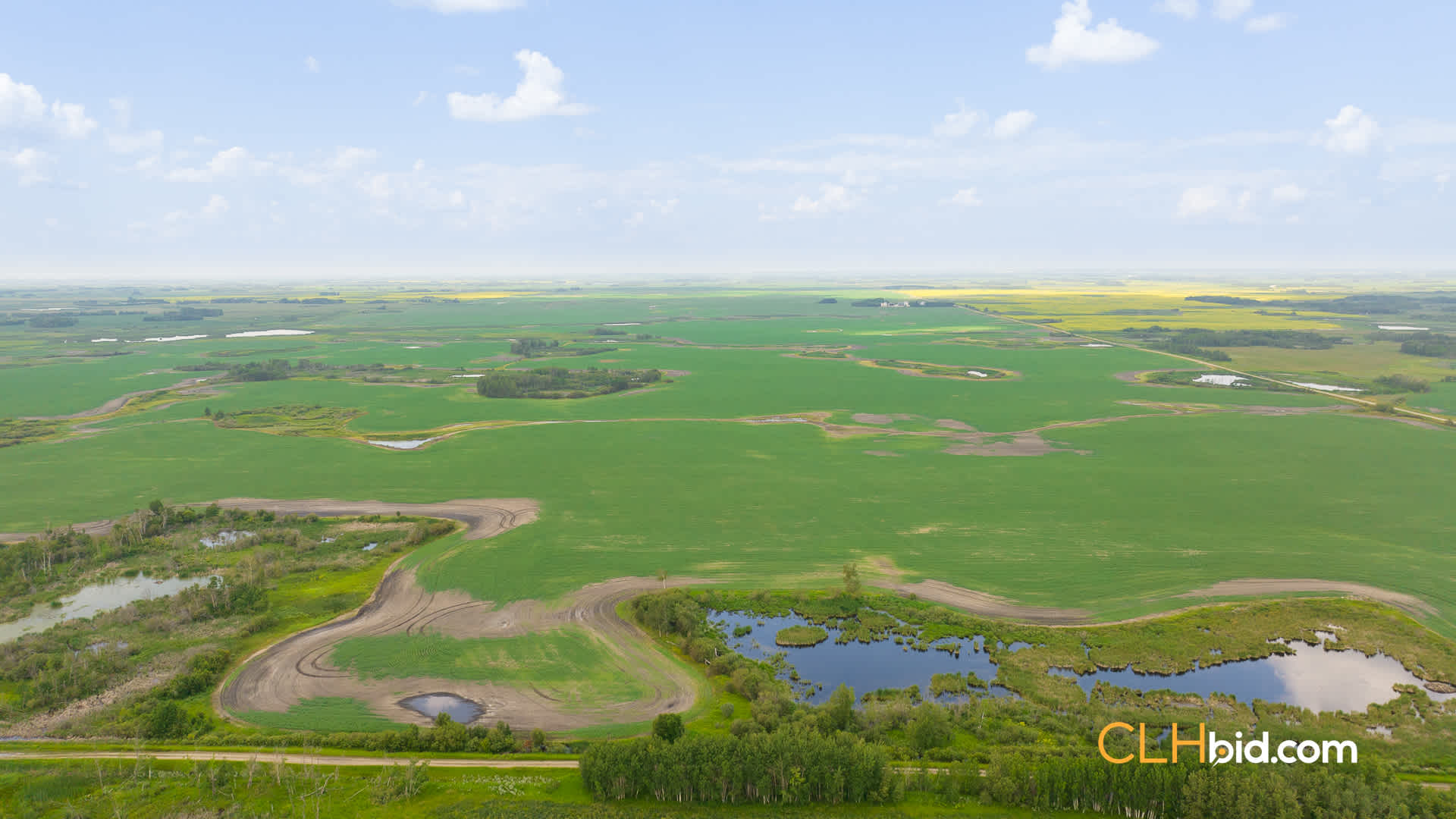 Web-ShoalLake-18