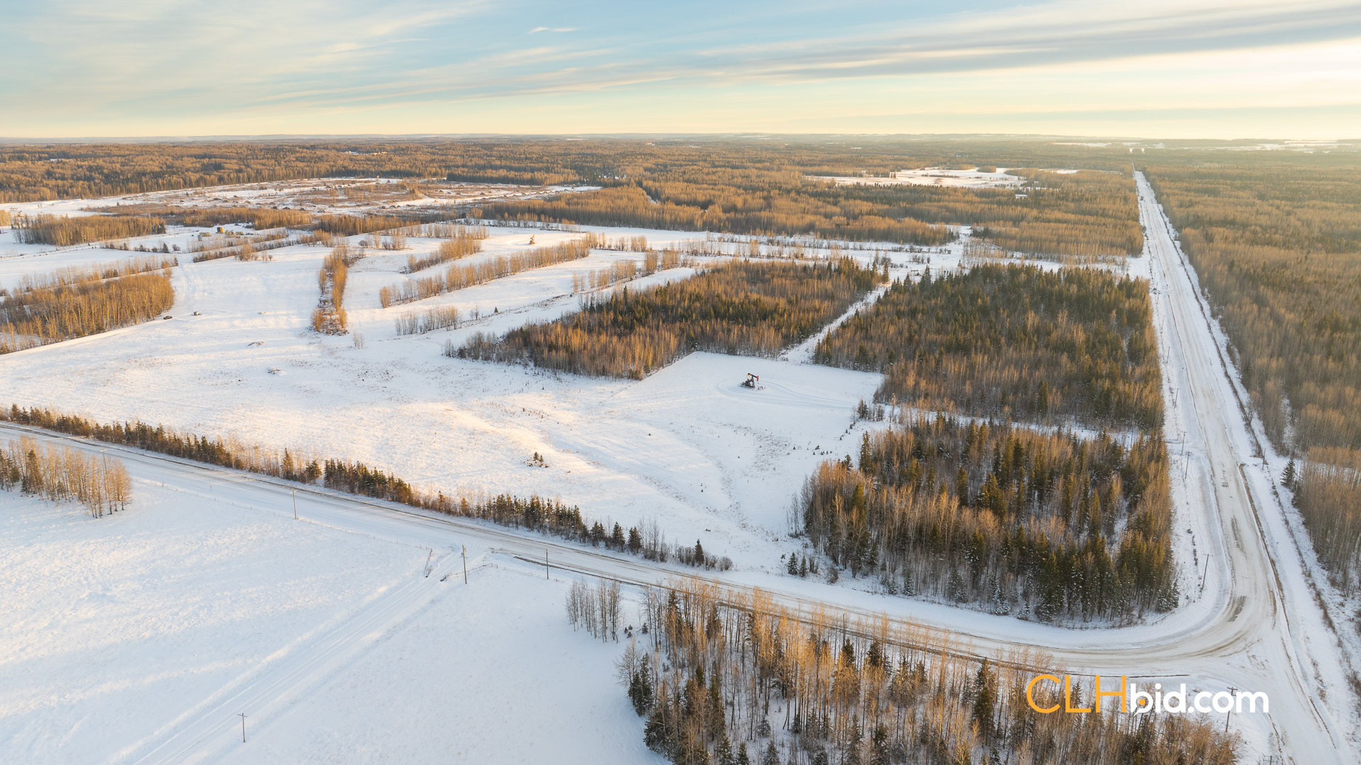 Web169-AcresOfPedigree-9