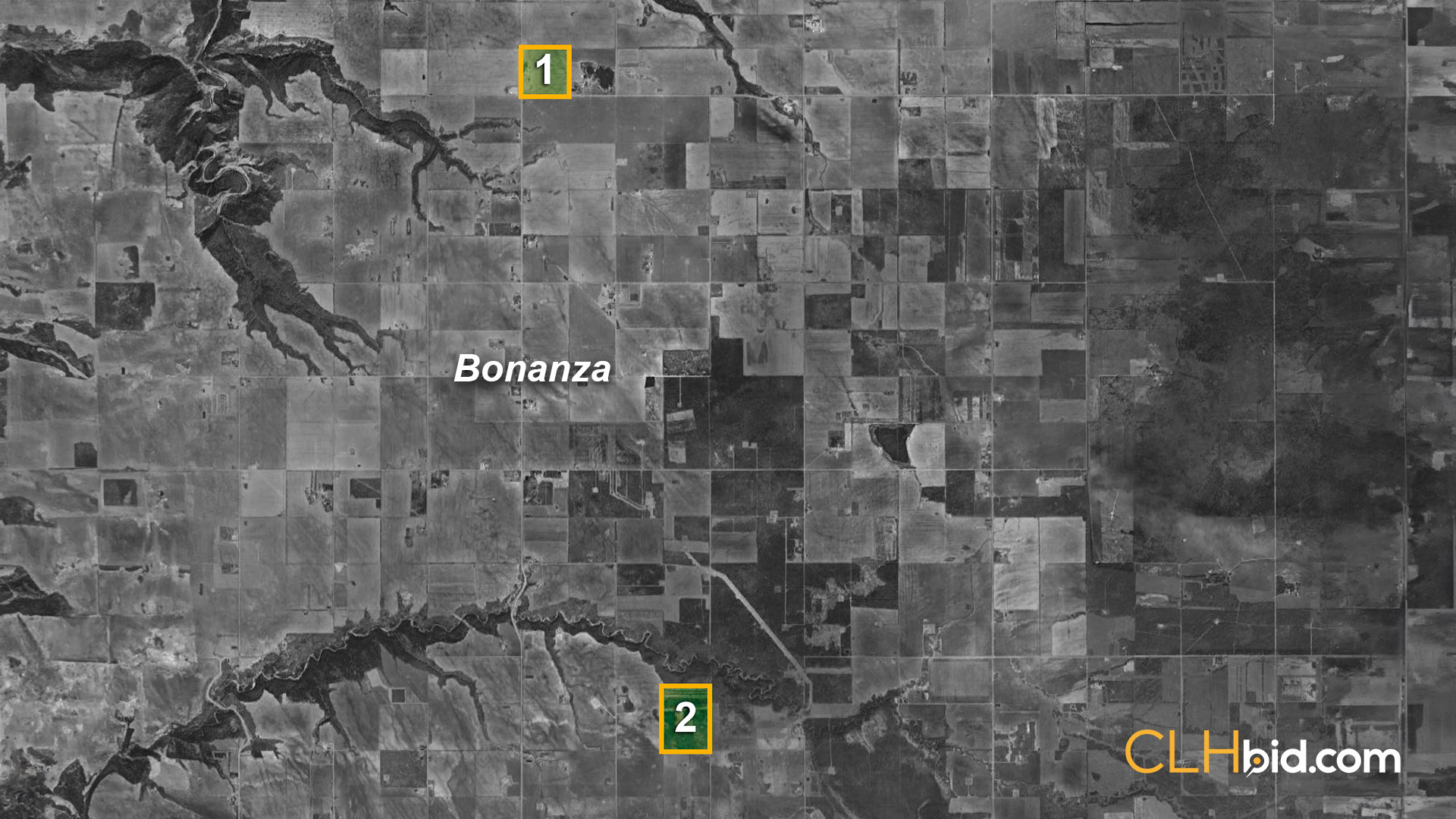 The-Real-McCoy-OVERVIEW