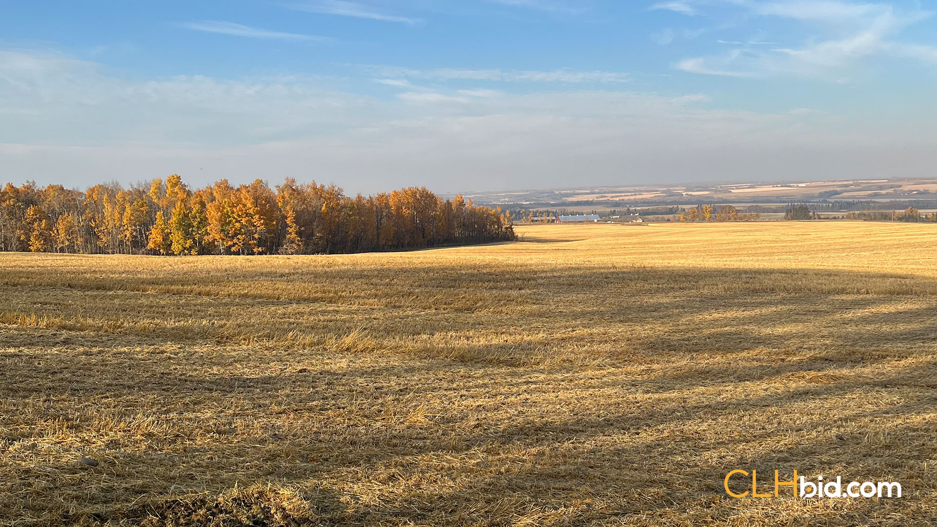 HEIDI 03- WIDE Contentful