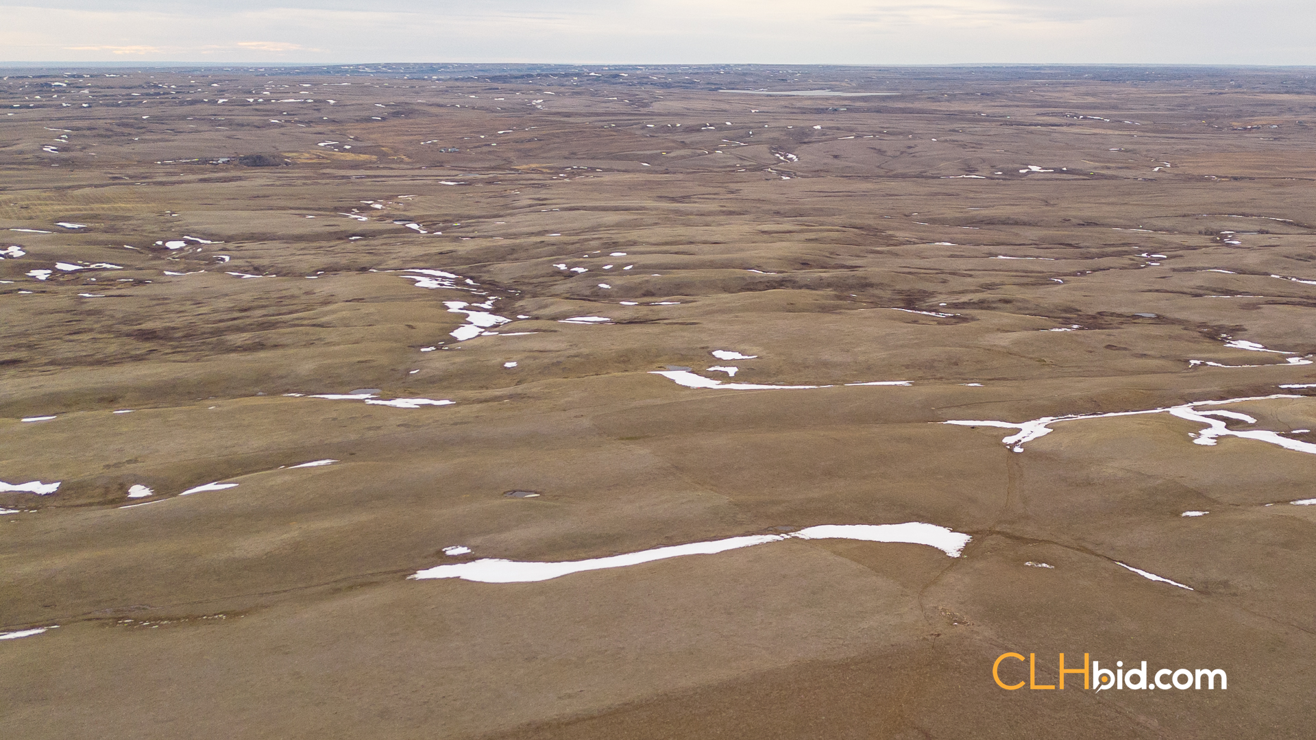 Web-HardGrassCountry-17