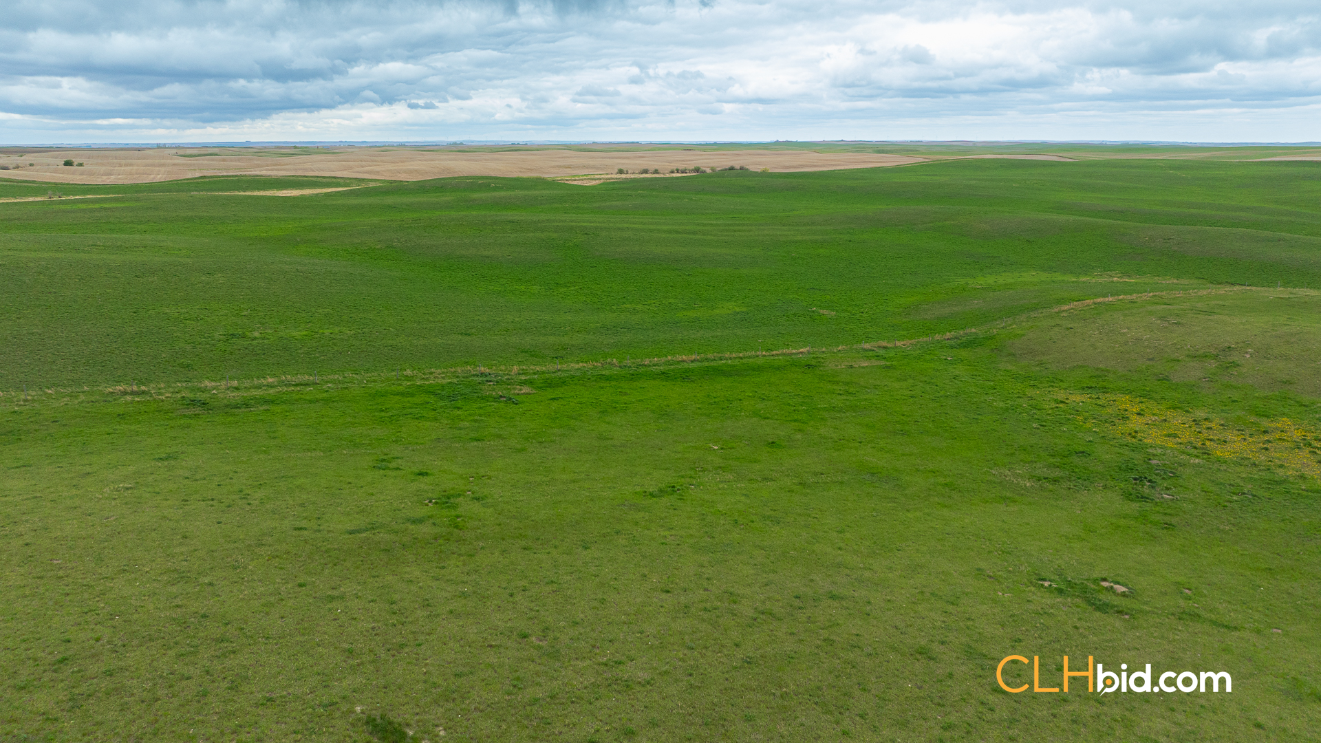 Web-LegacyMoveNEW-50