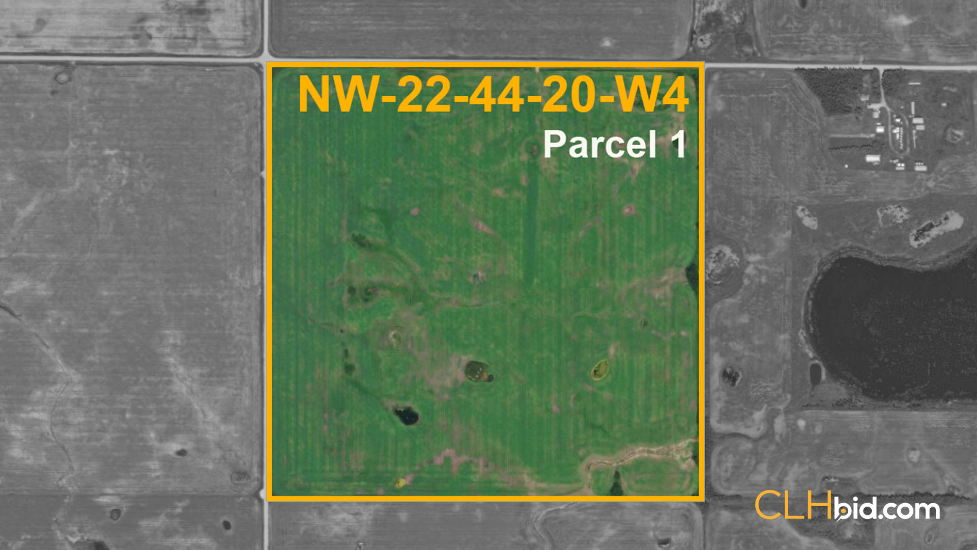 Five Star Plus P1 - WIDE - Contentful
