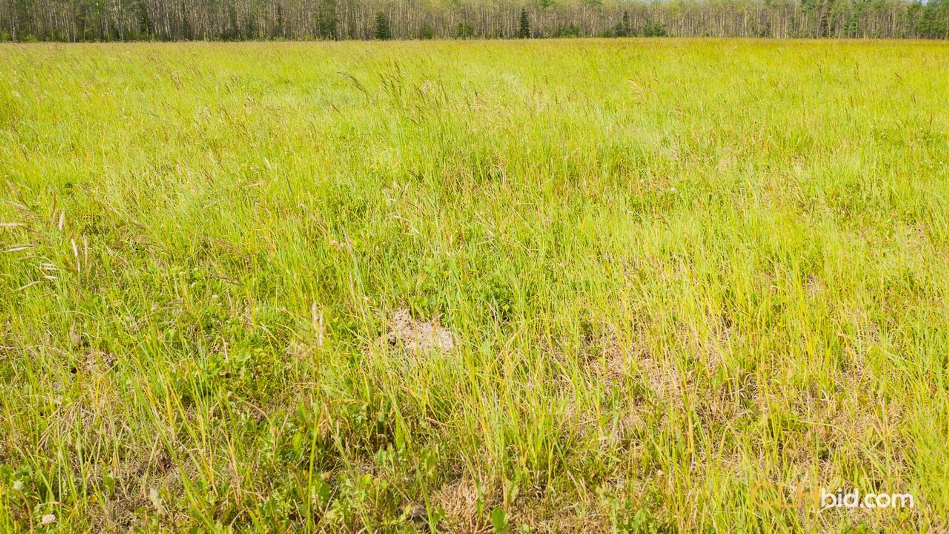 silvervalleydiamondintherough-4-5