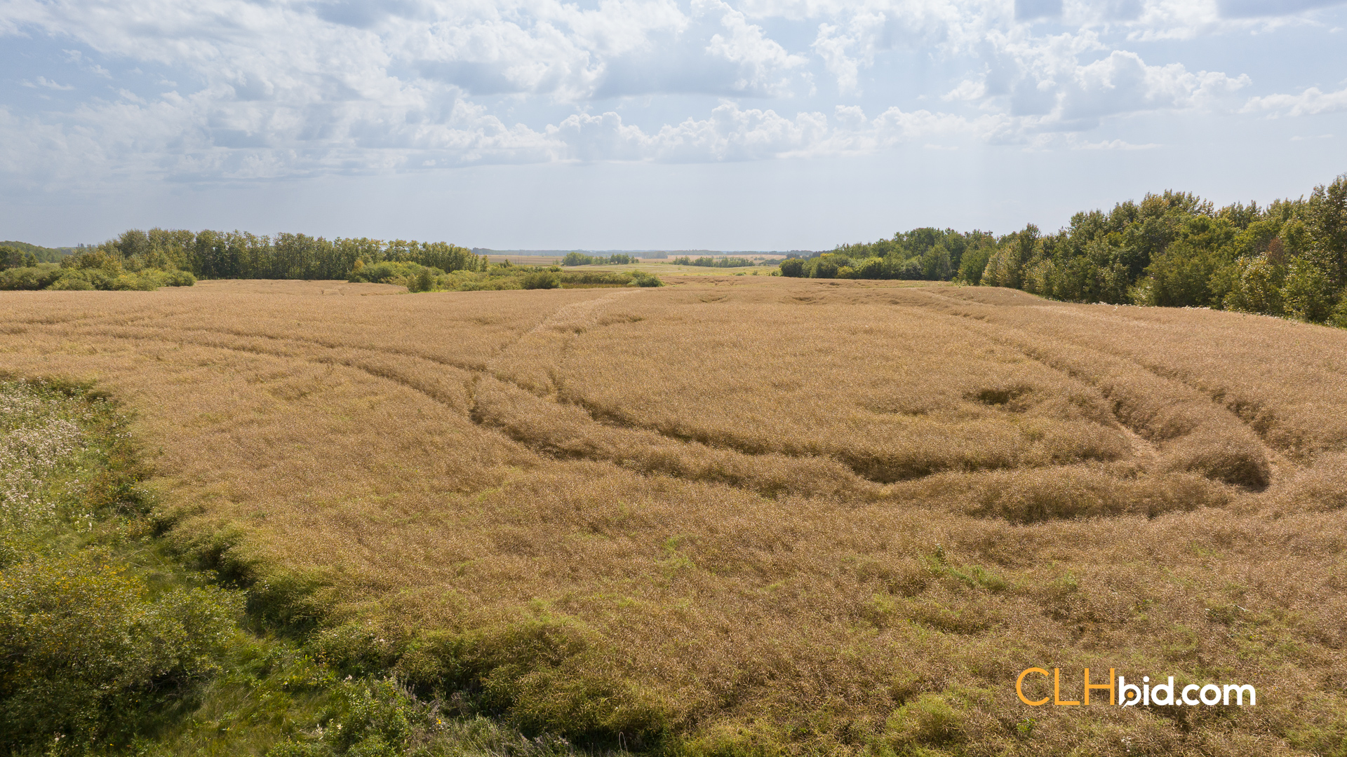 Web-RossburnPrimary-4