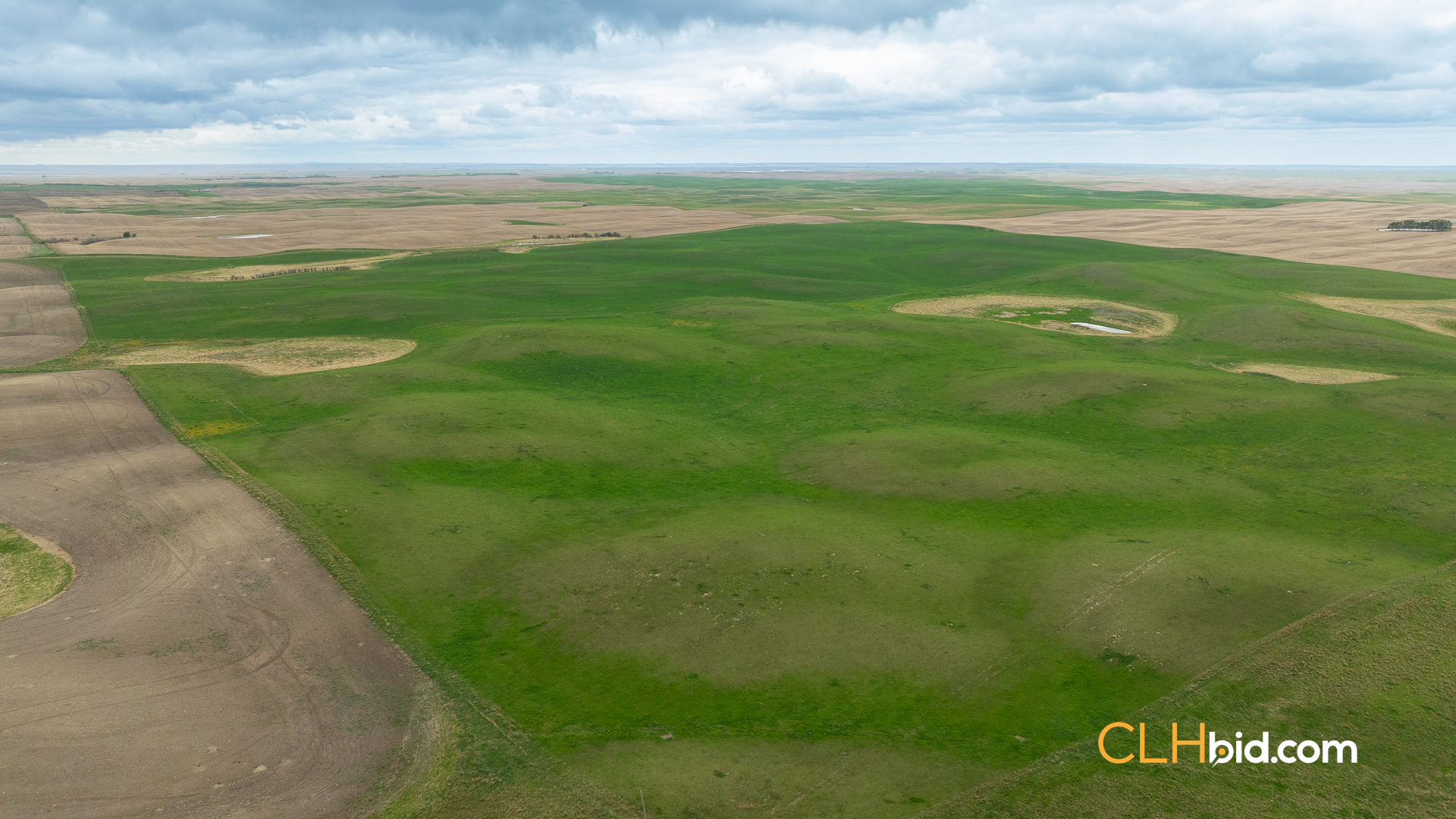 Web-LegacyMoveNEW-49