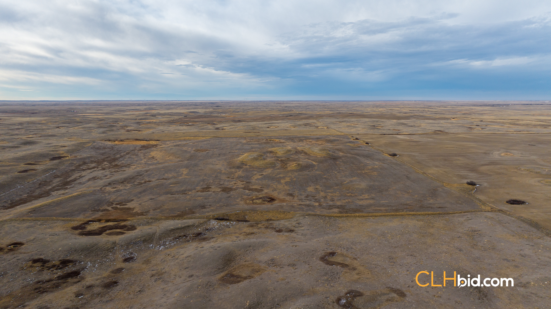 Web-Rise-At-Enterprise-39