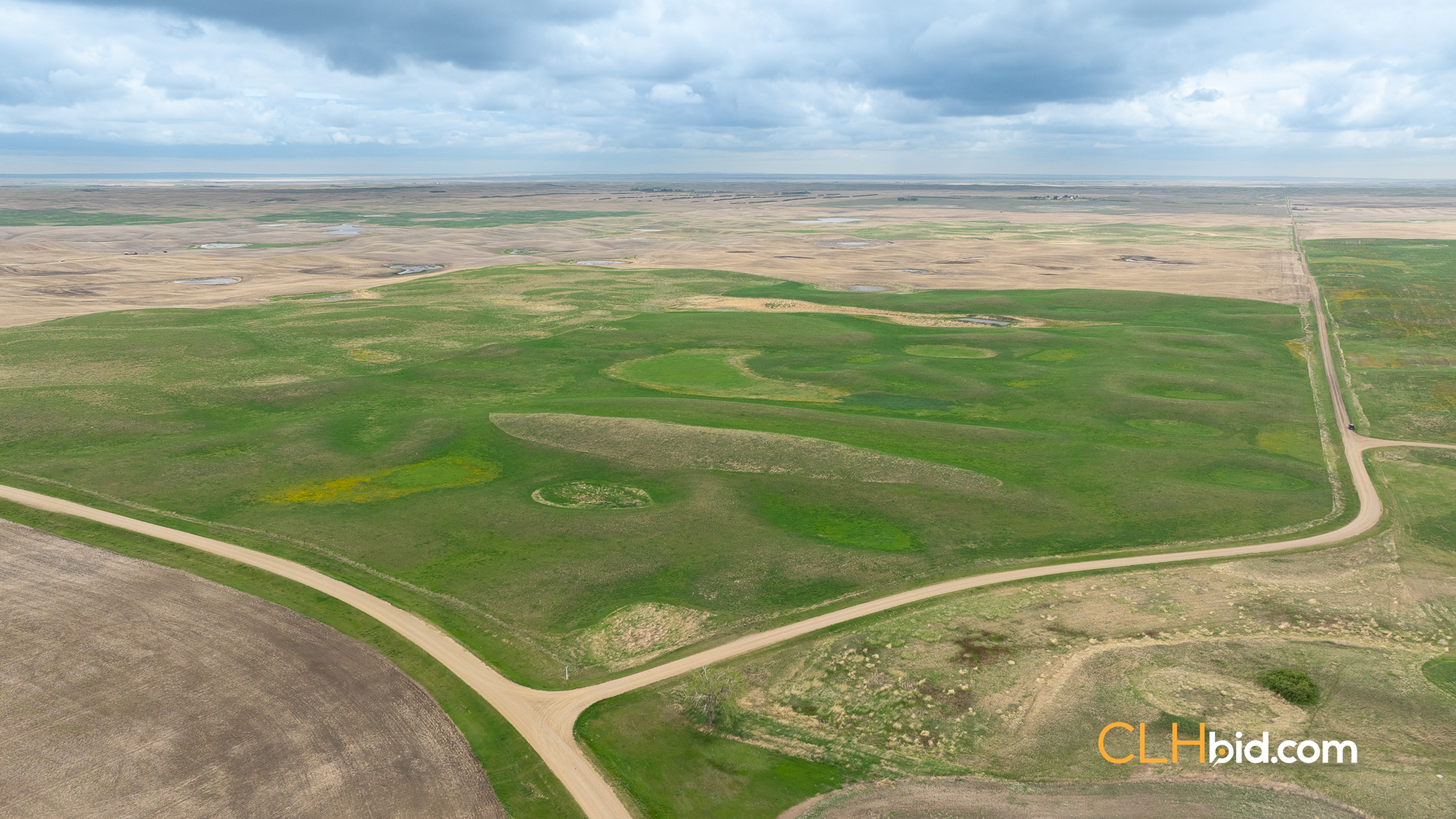 Web-LegacyMoveNEW-19