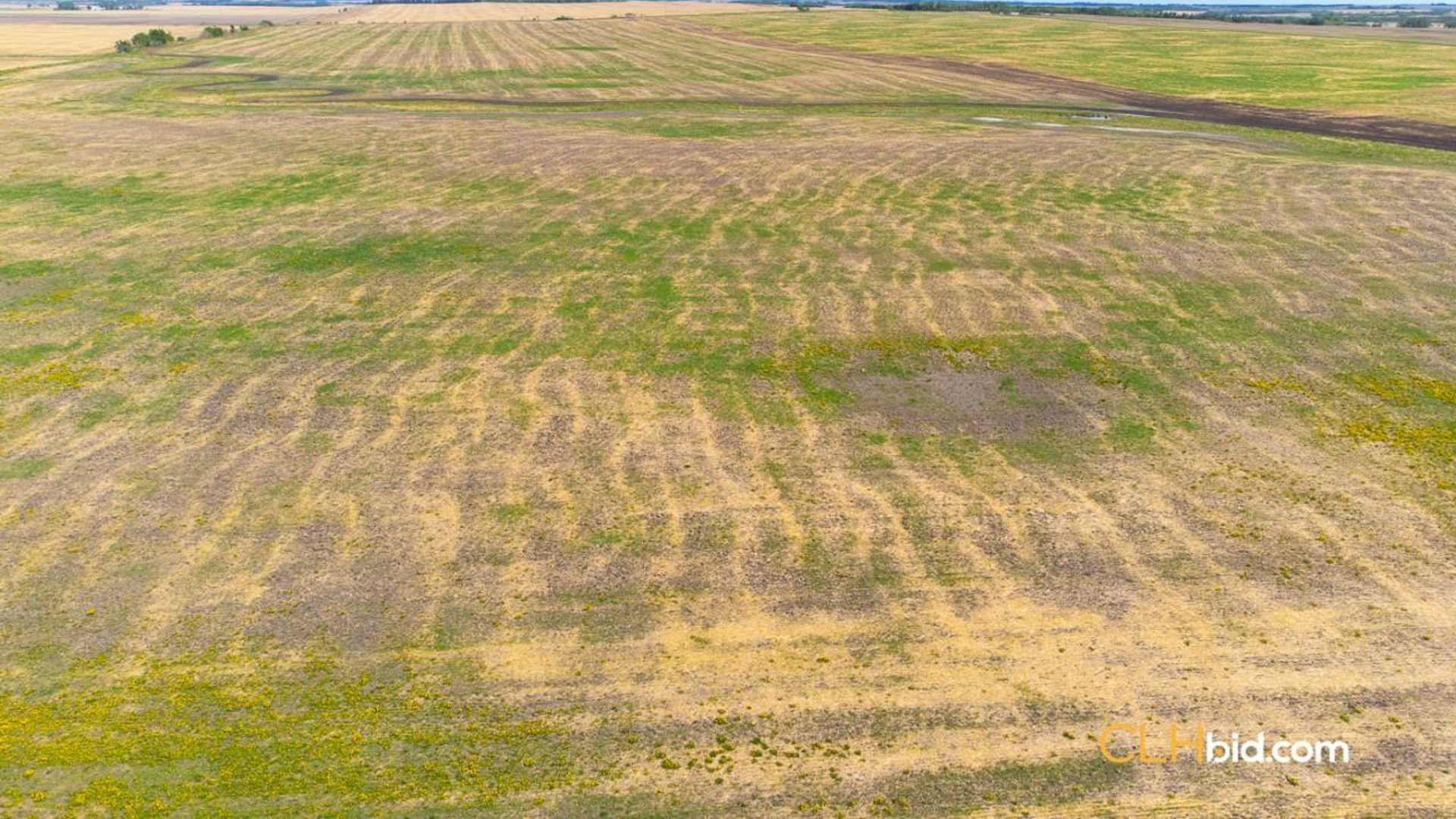 thelongmilevegreville-1-2