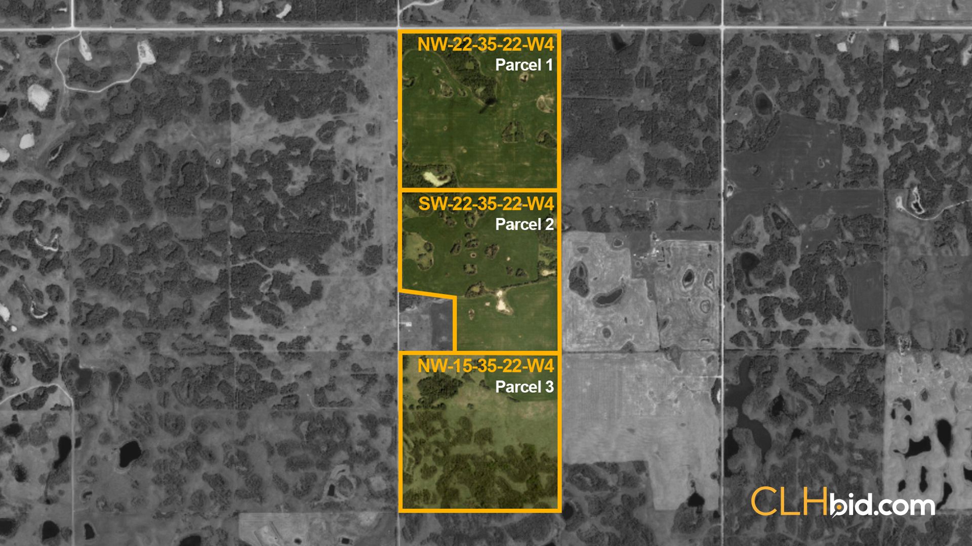 Red-Deer-Real-OVERVIEW