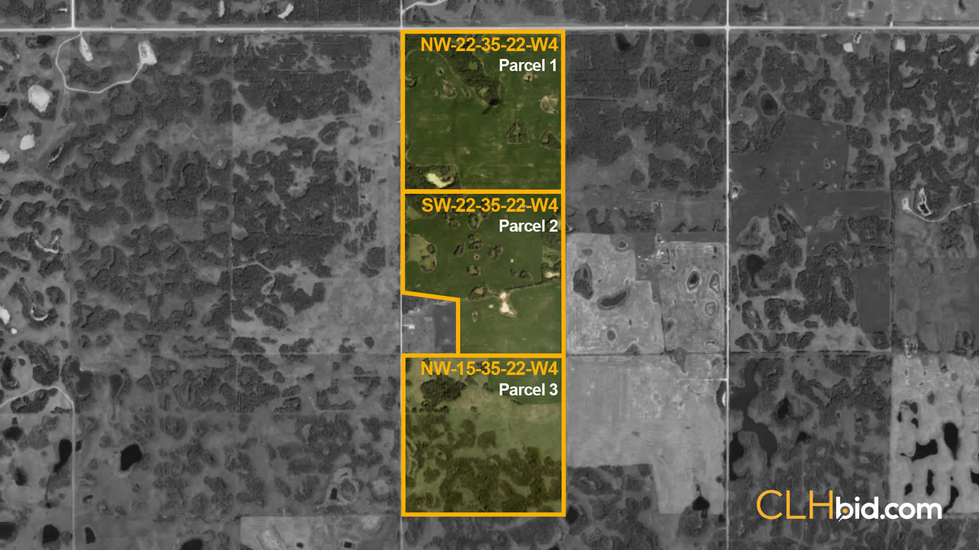 Red-Deer-Real-OVERVIEW
