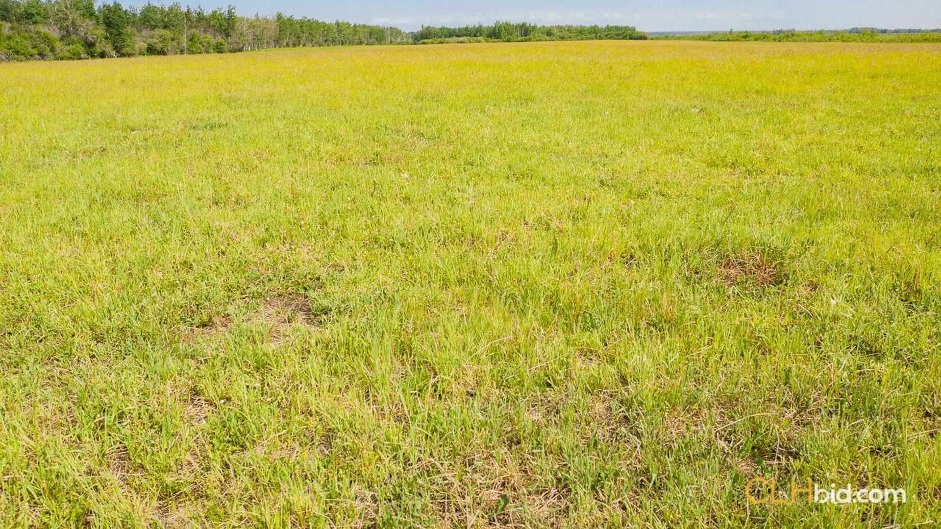 silvervalleydiamondintherough-4-6