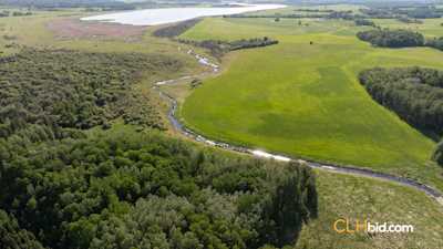 Bleuets Acres