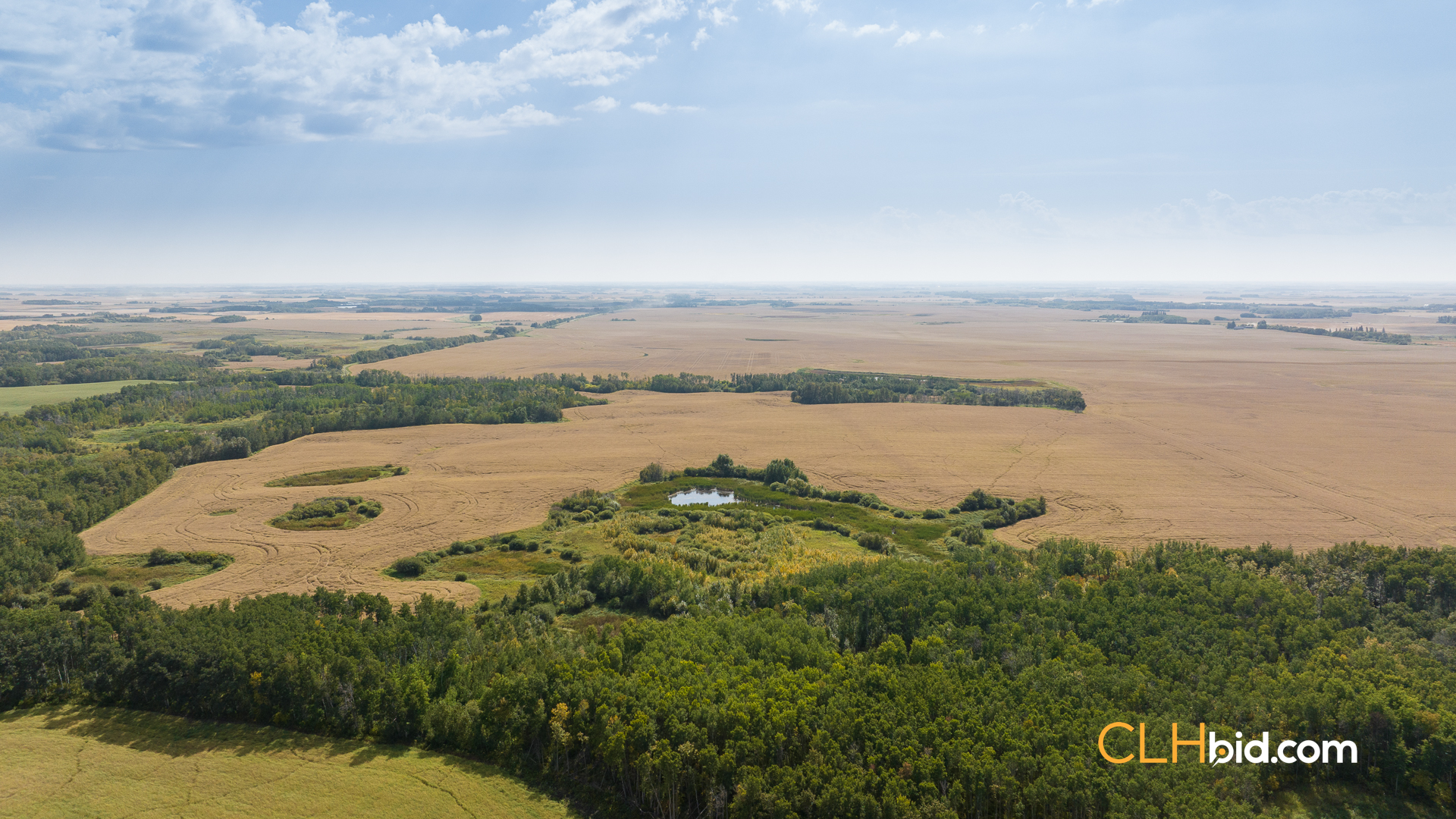 Web-RossburnPrimary-16