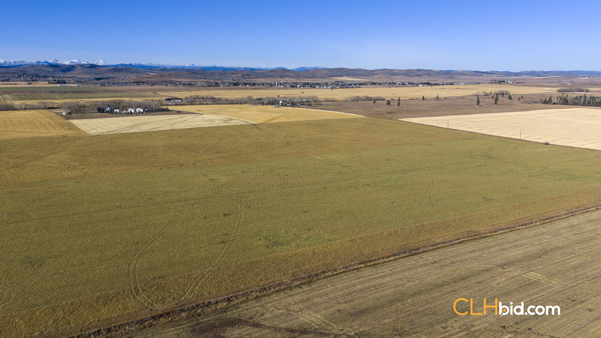 Web-Foothills-28