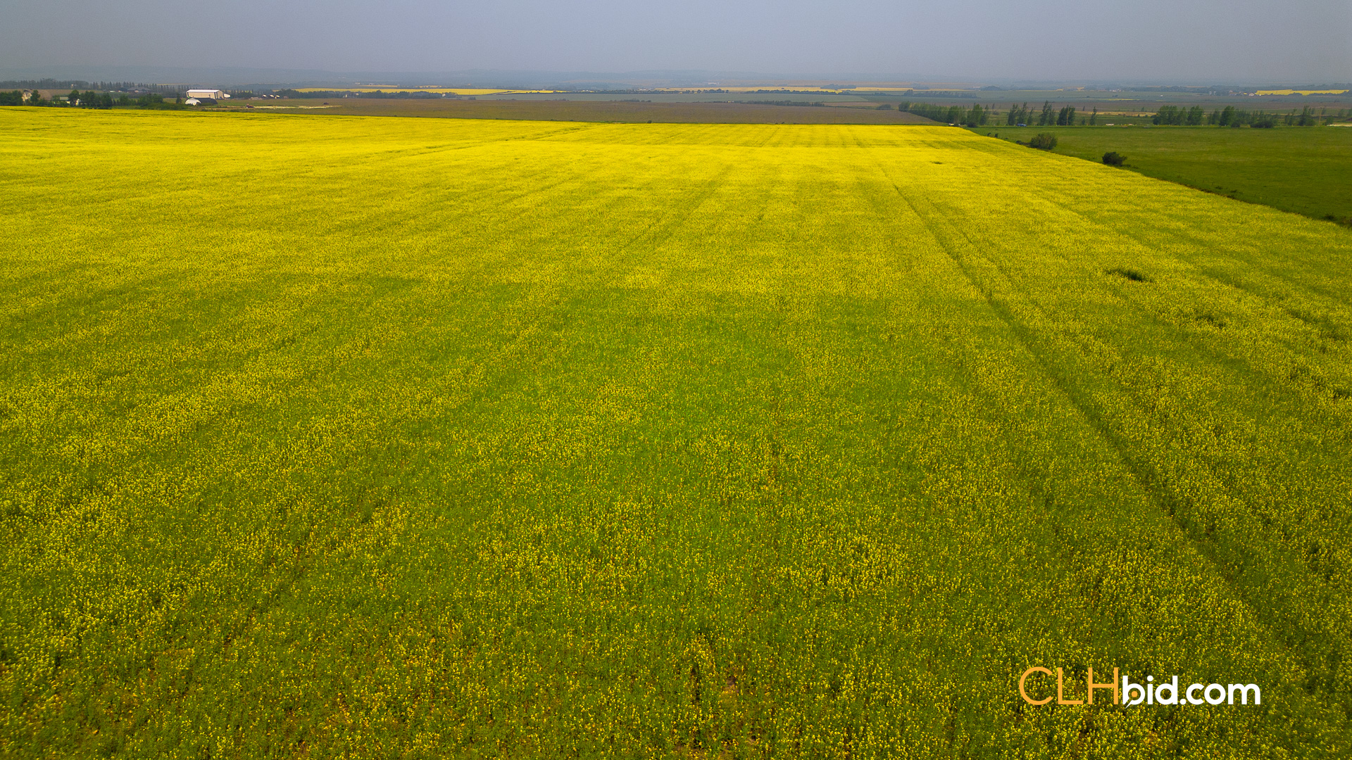 Web Sexsmith Serenity-12