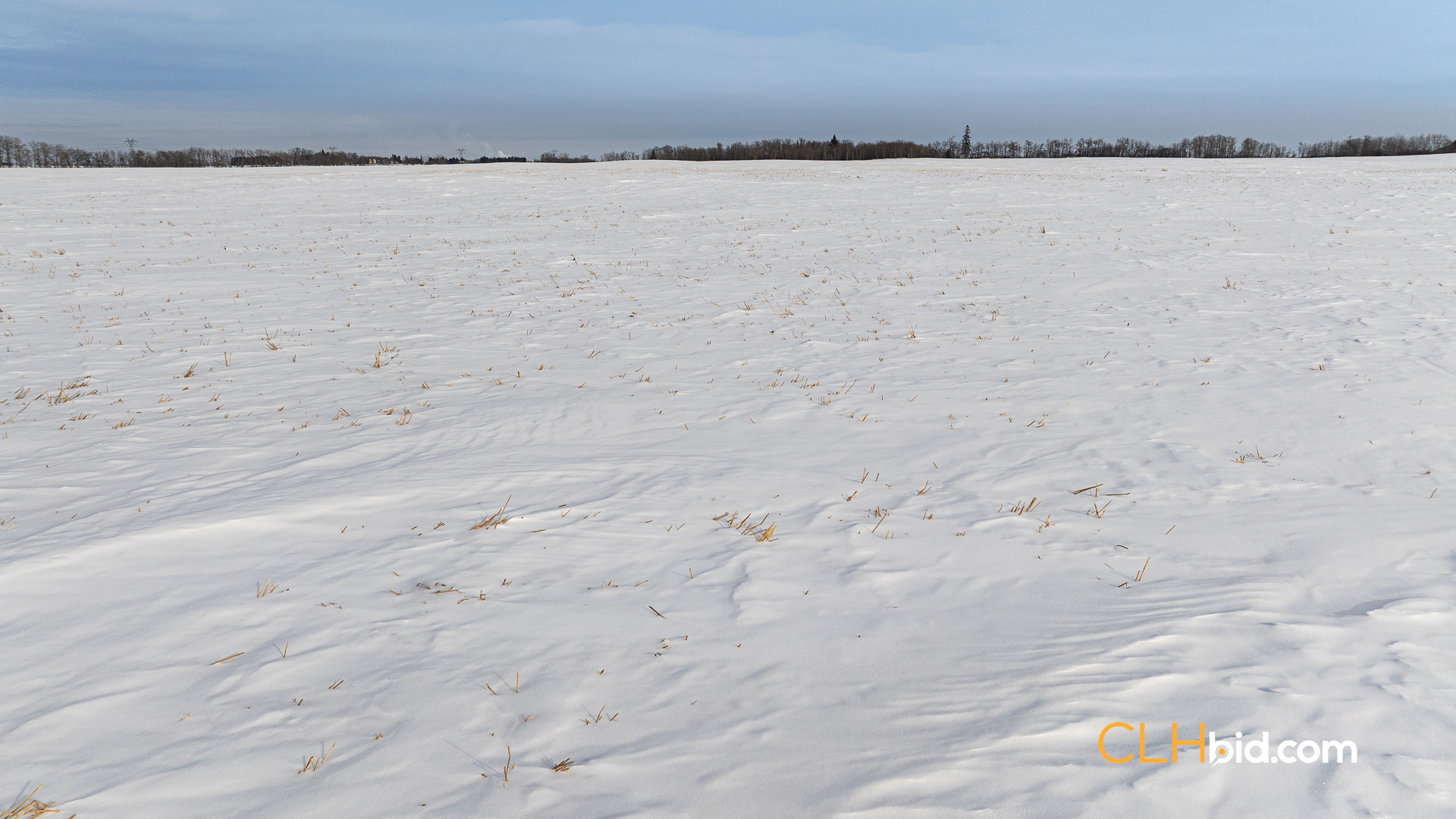 Web-LamontTopGrade-42