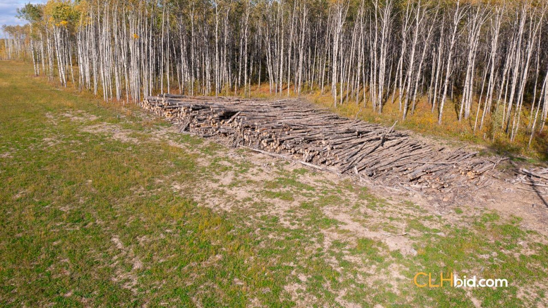 goodfareunlimited-1-6