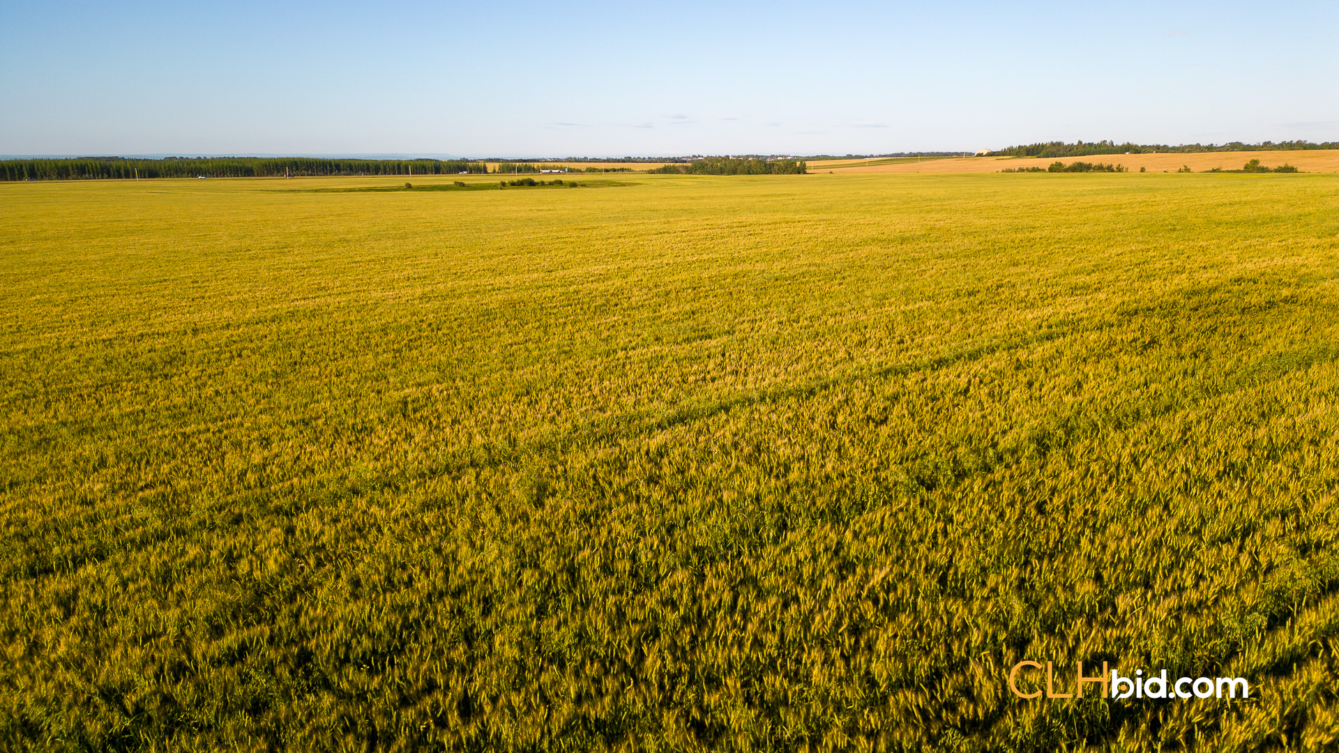 Web Lake Saskatoon-3