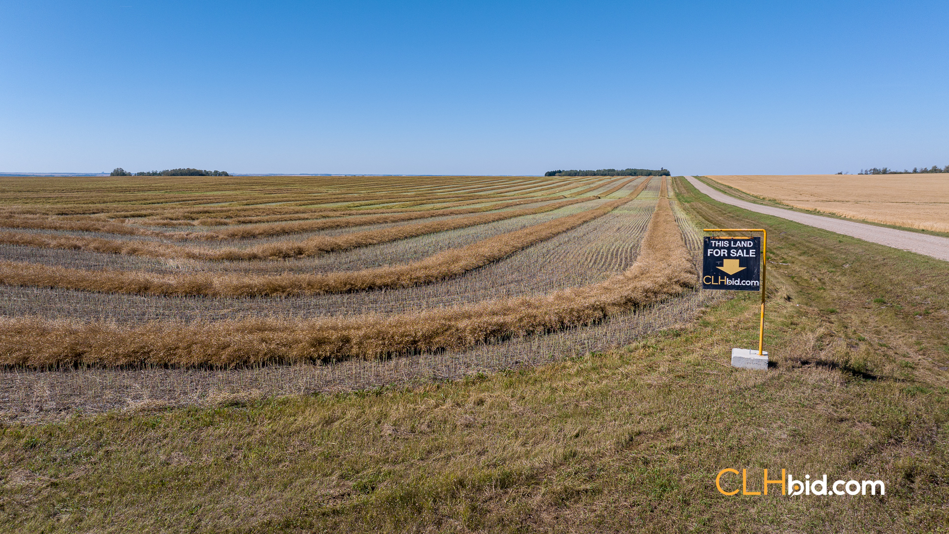 Web-Tisdale-Titan-14