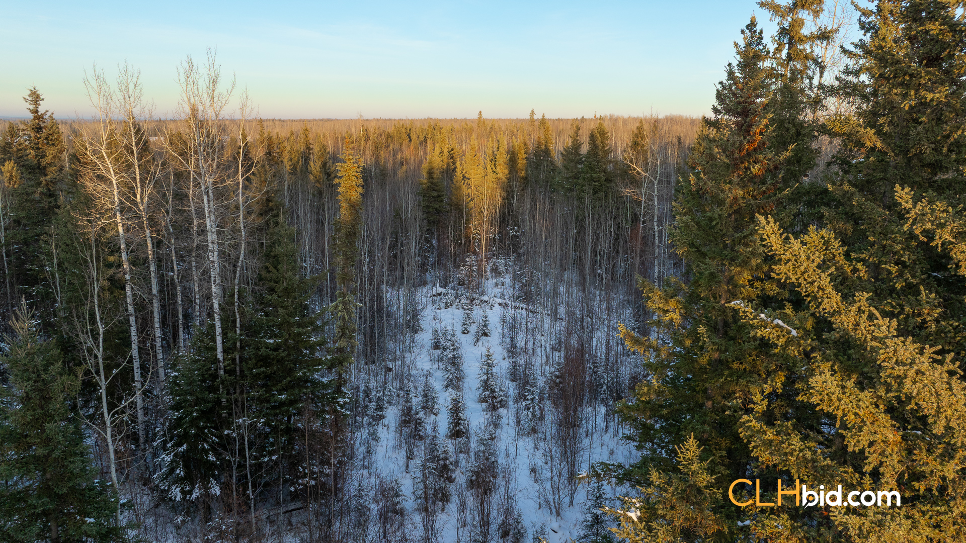 Web169-AcresOfPedigree-7