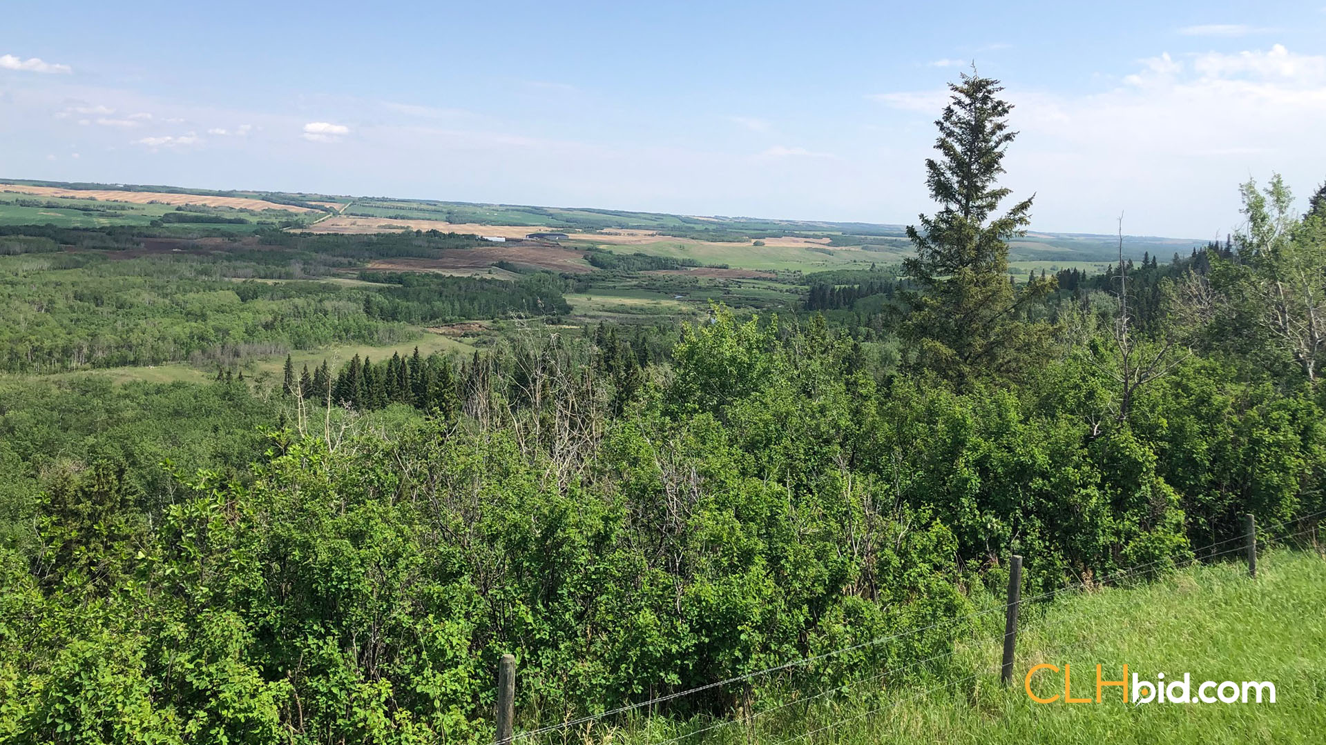 Jeremy 0688 - WIDE - Contentful