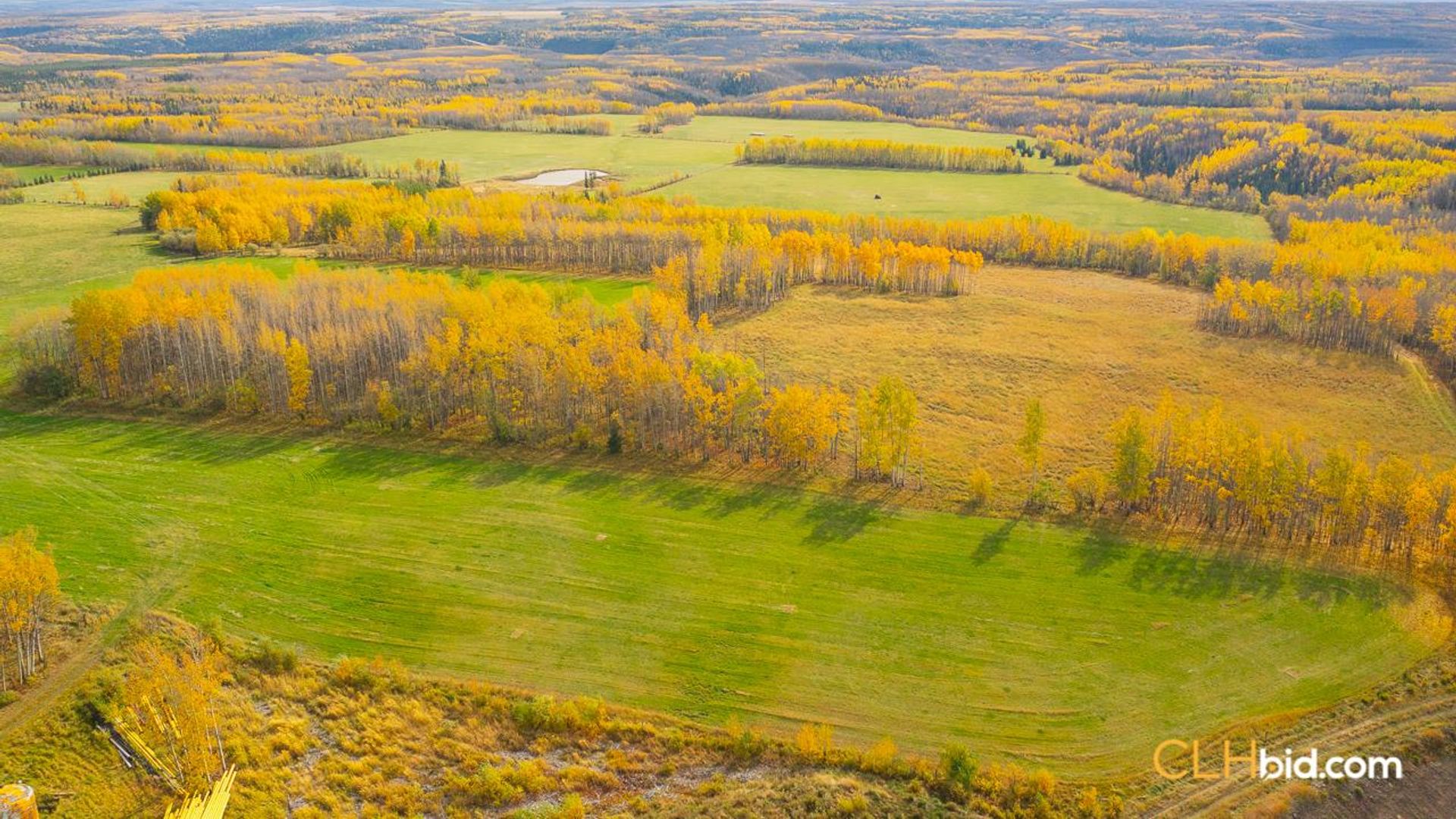 theranchonbradenroad-2-6