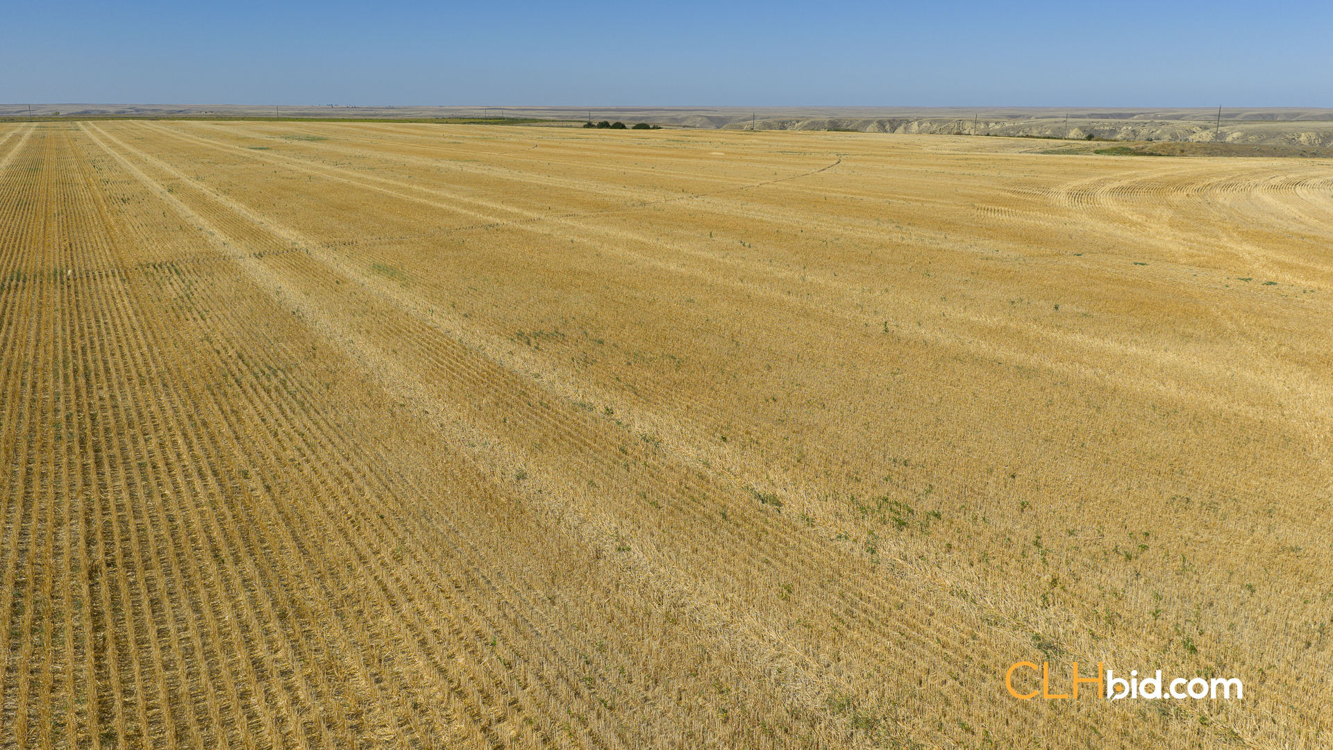 Web-MegaFortyMile-12