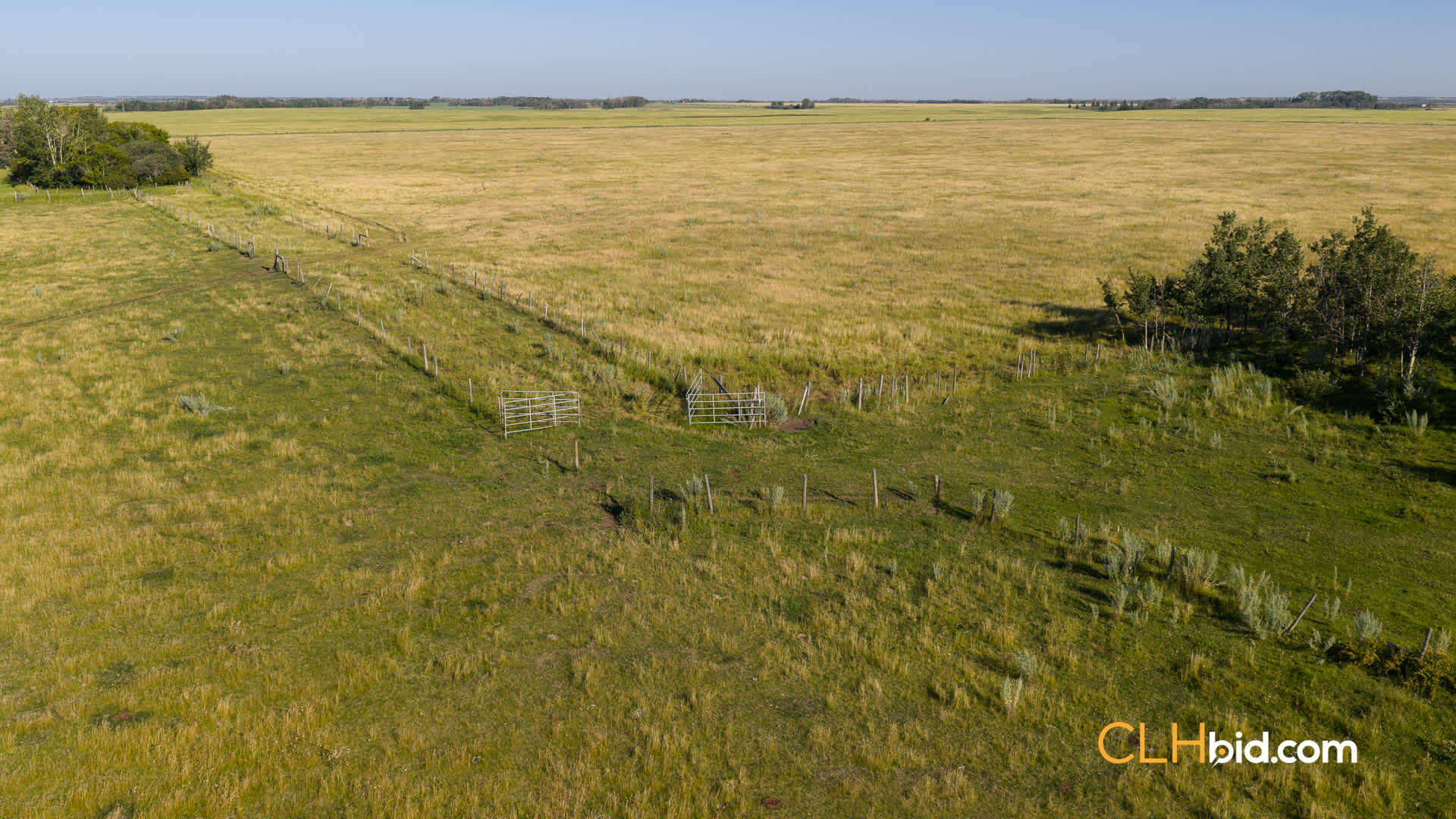 Web-BigSky-11