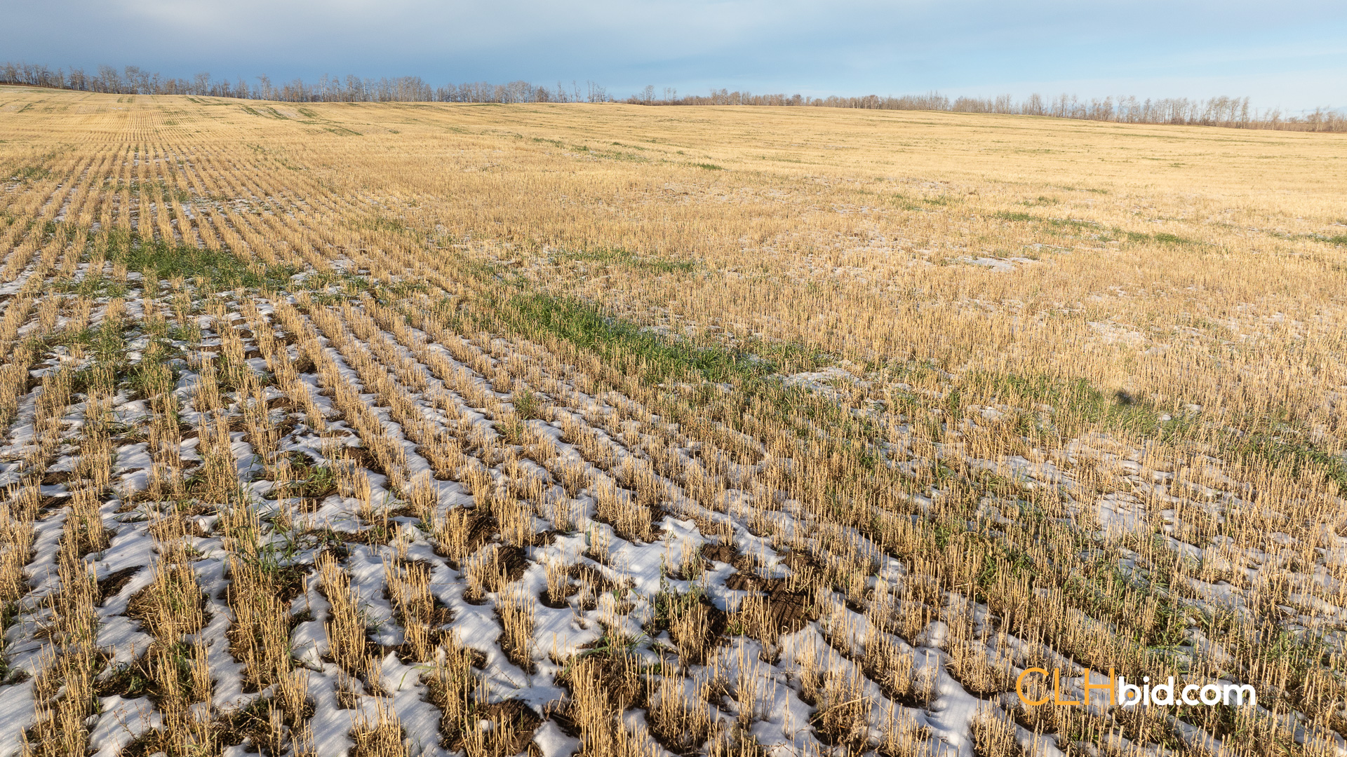 Web-BentleyClassic2-9