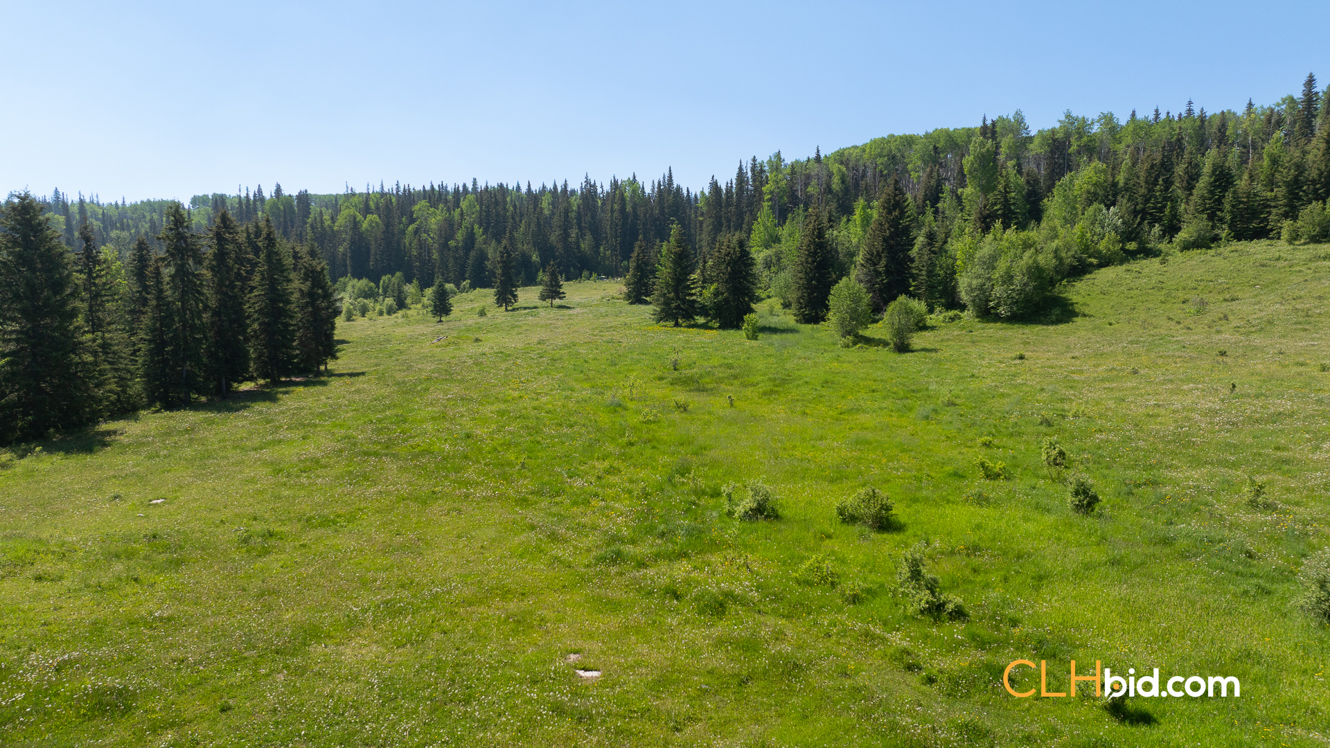 Web-CrystalWatersRanch-22