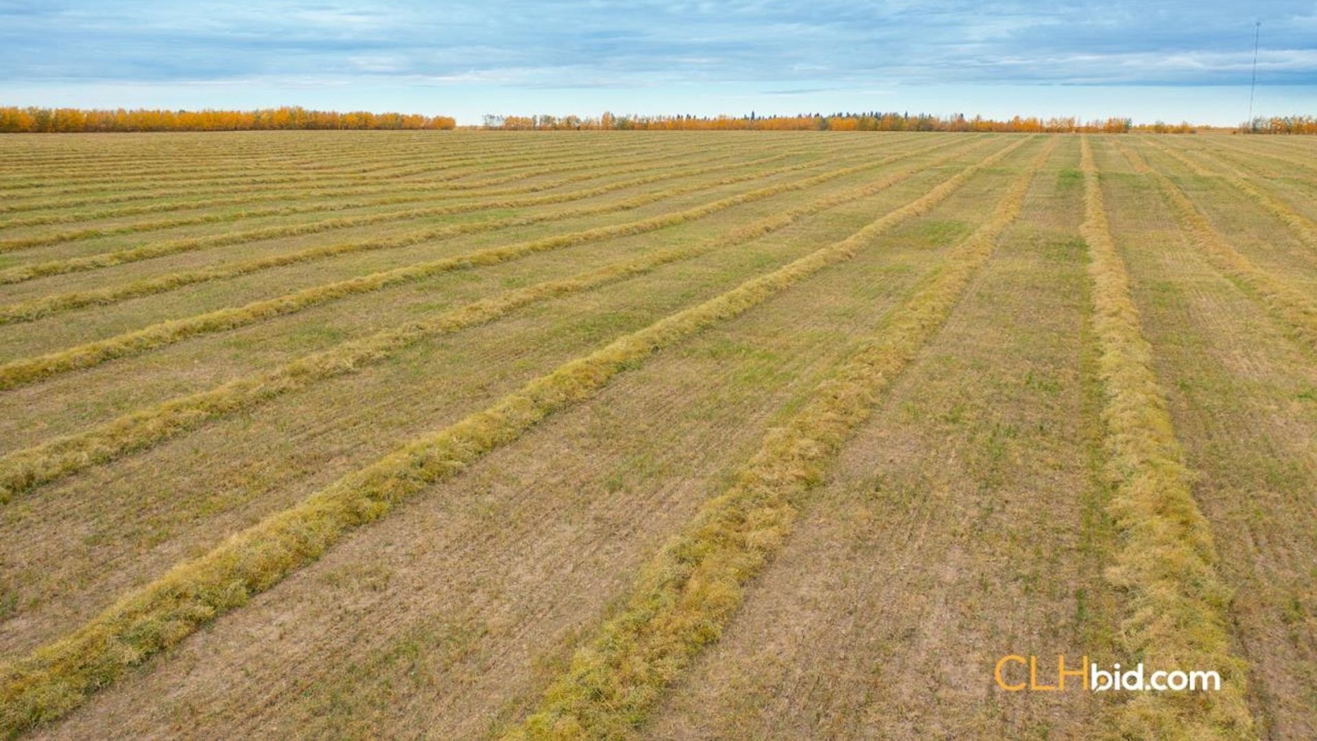 thevilnaheritagefarm-1-7