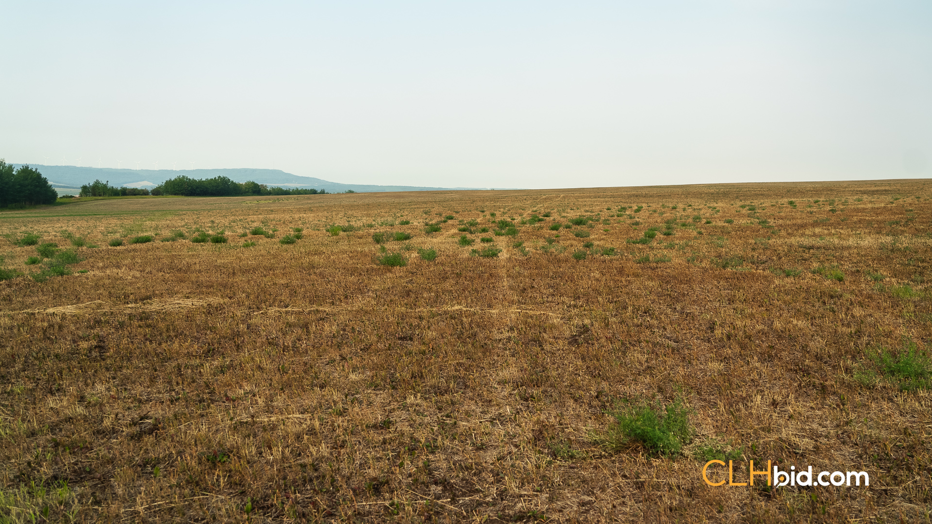 Web Rolla Homestead-8