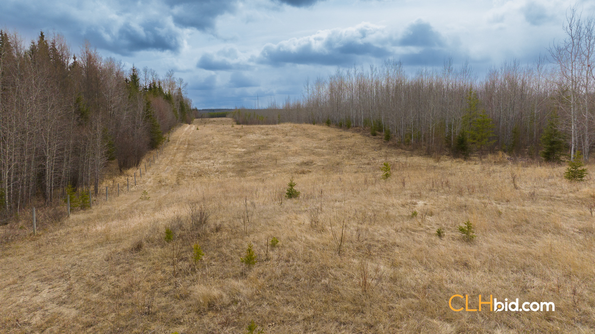 Web-RanchersChoice-4