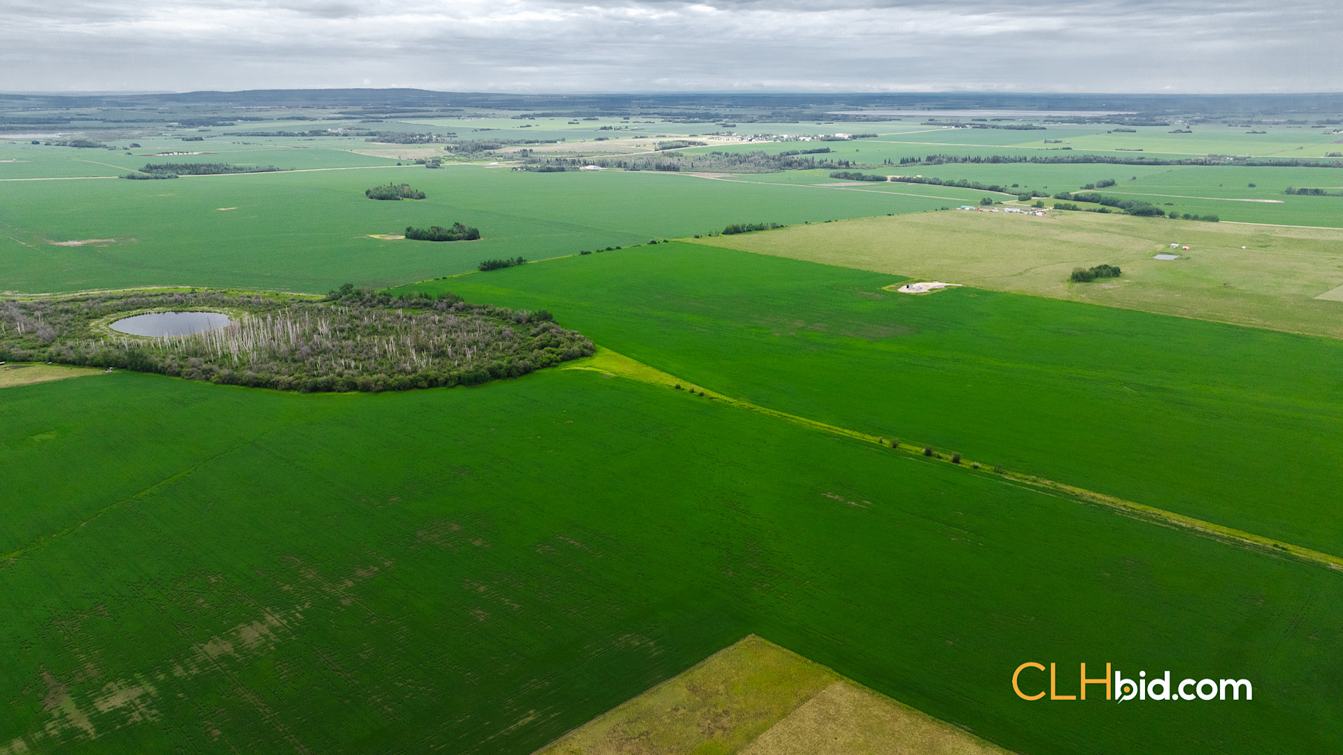 Web Triple Off Hwy 59-1
