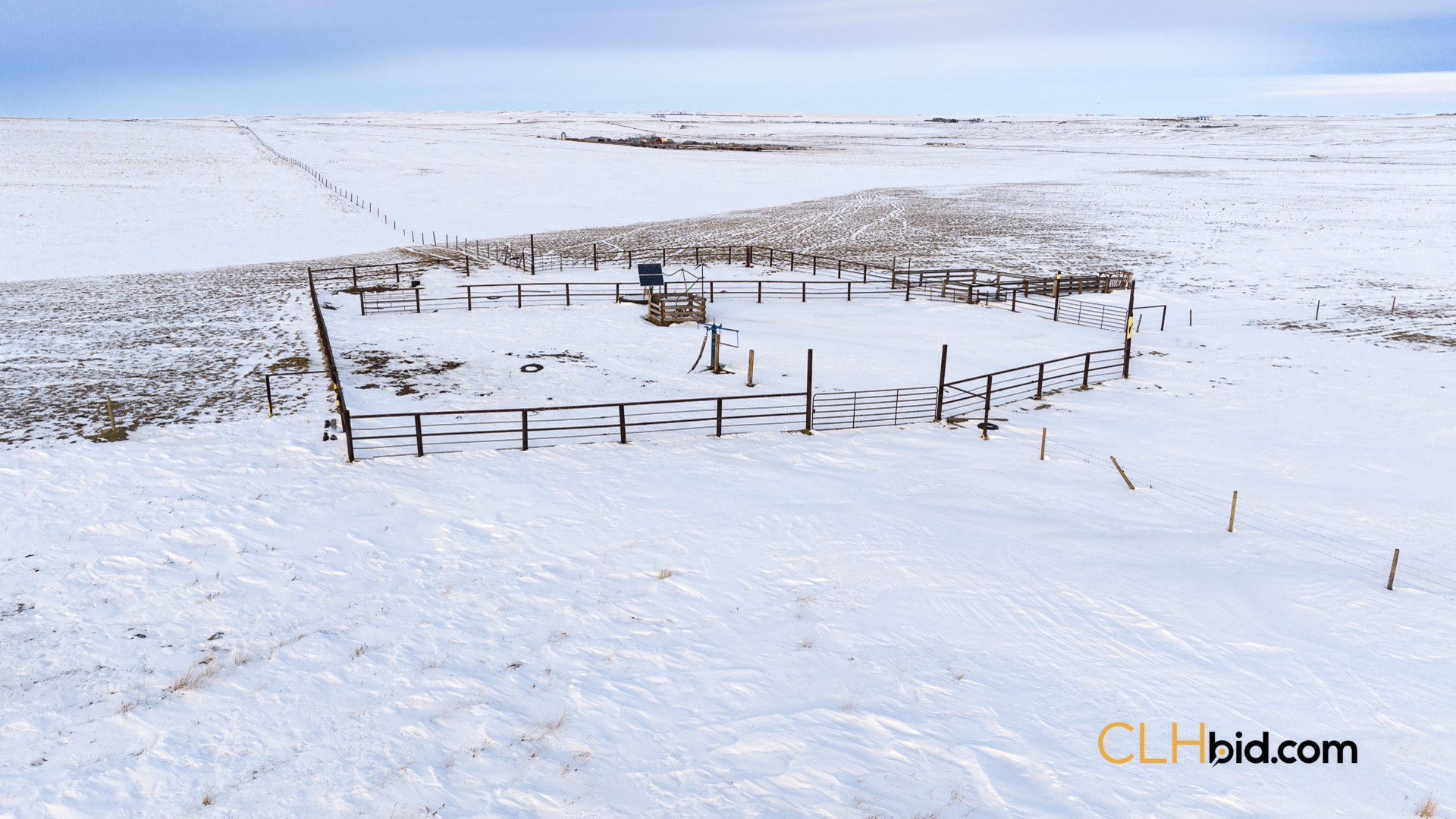 P2 Web169-AcresOfPedigree-16