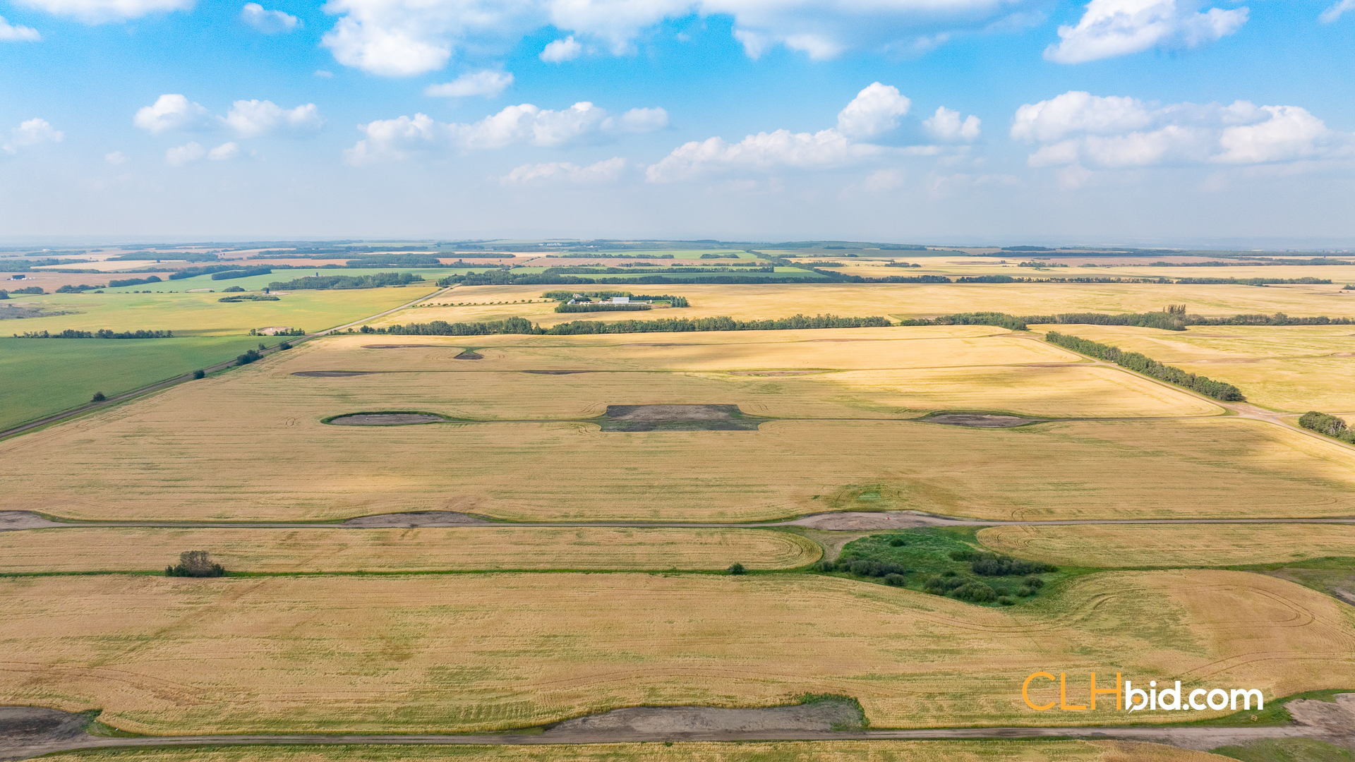 Web-CountyLineInvestor-4