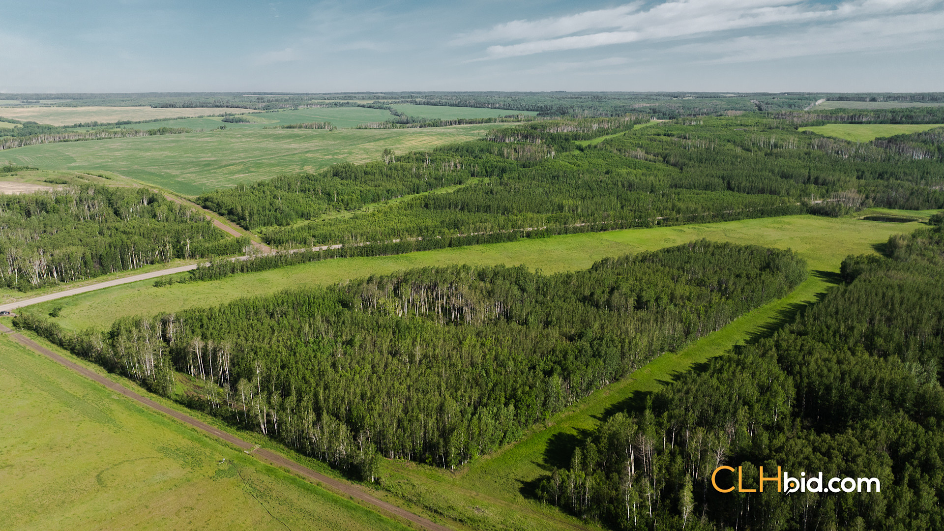 Web The Wild at Braden Rd-3