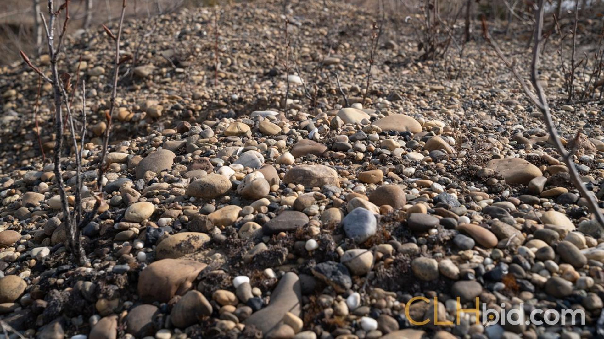 fairviewtrifecta-1-4