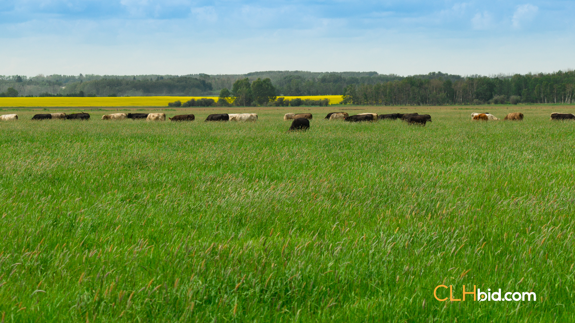 Web-SylvanLakeCountry-10