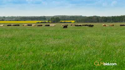 Sylvan Lake Country