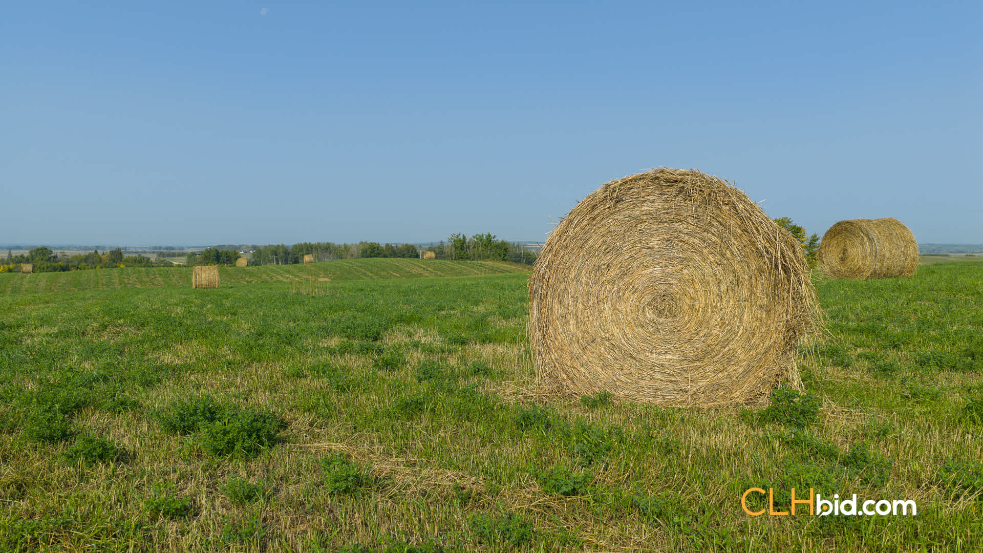 Web-Homestead Horizon-5