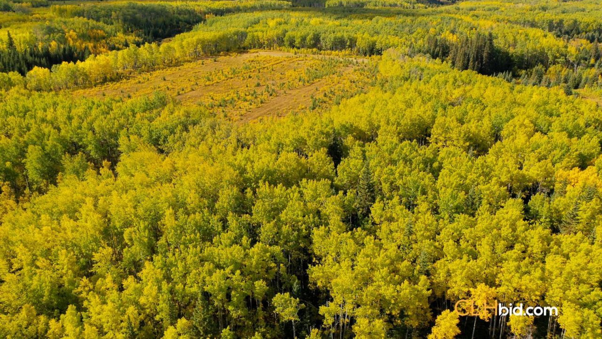 burntriverescape-1-6