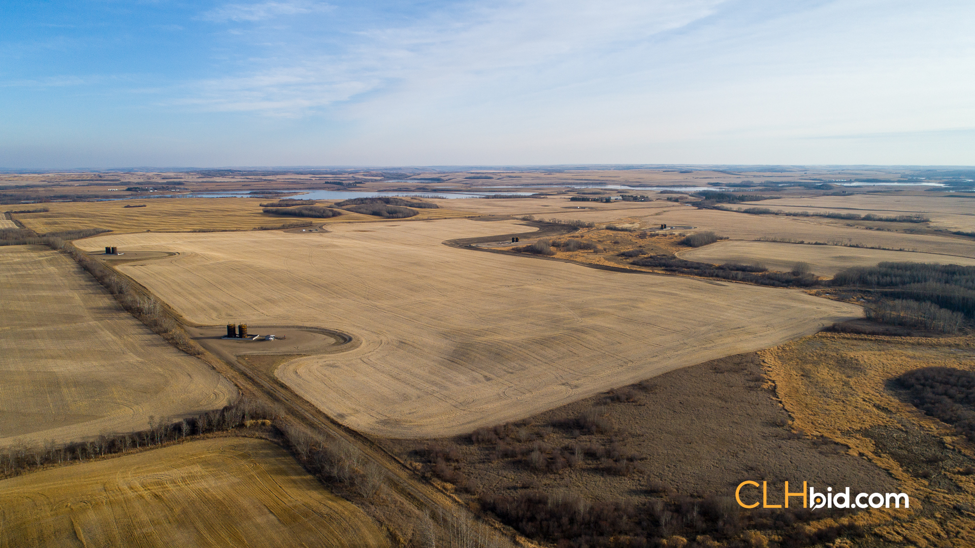 Web-Nine-Of-Diamonds-17