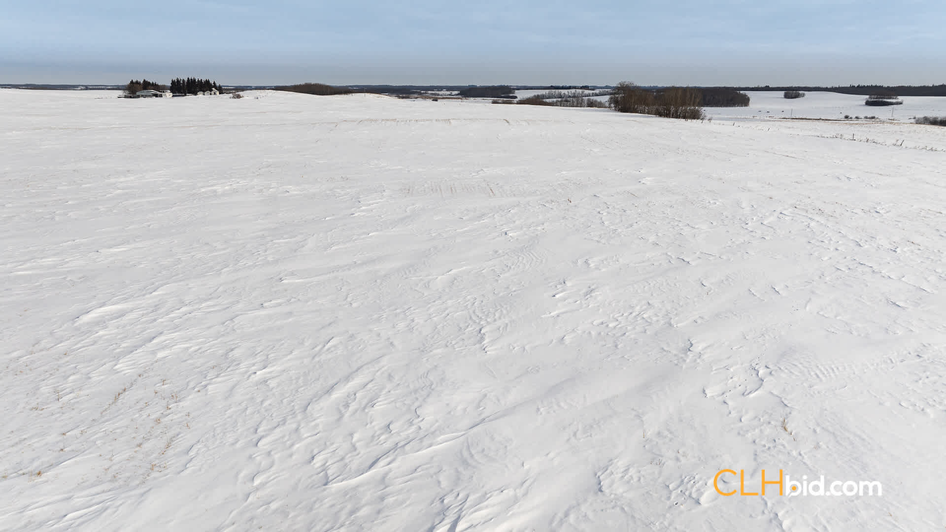 Web-LamontTopGrade-21