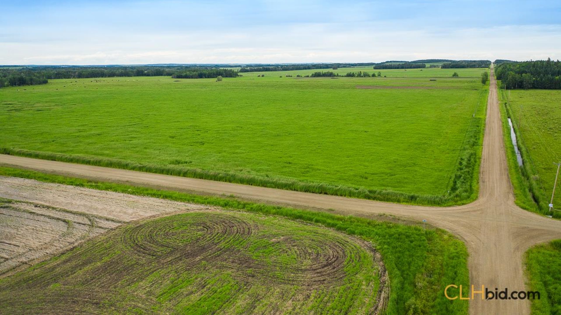 warburgdoubletree-2-4